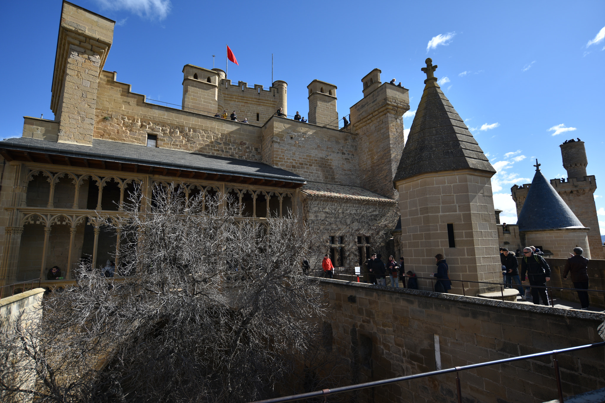 Nikon D810 + Nikon AF-S Nikkor 18-35mm F3.5-4.5G ED sample photo. Castillo de olite () photography