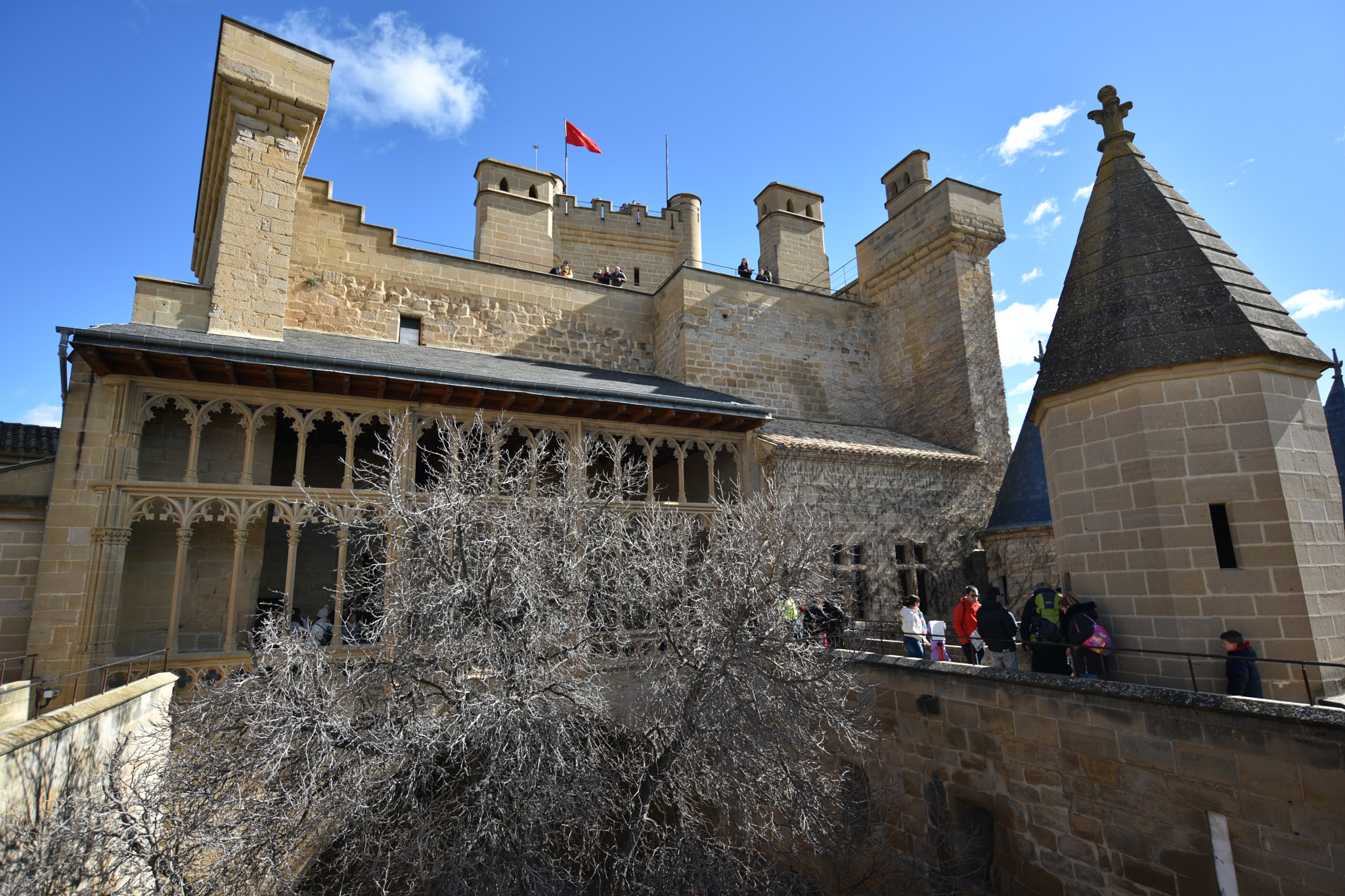 Nikon D810 + Nikon AF-S Nikkor 18-35mm F3.5-4.5G ED sample photo. Castillo de olite () photography