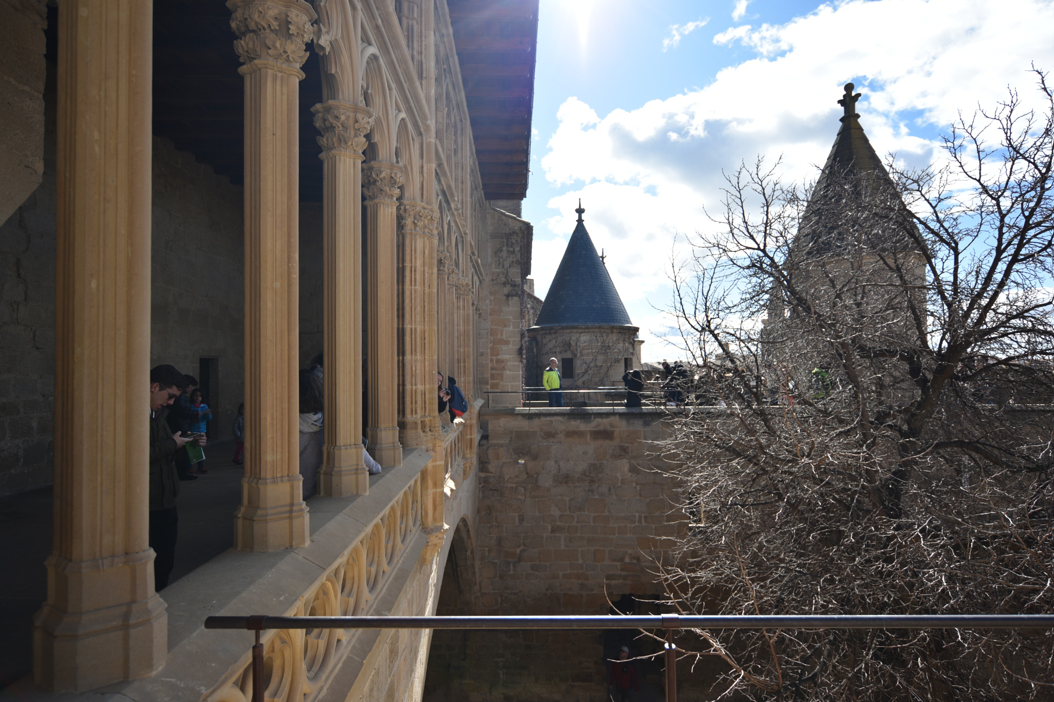 Nikon D810 sample photo. Castillo de olite () photography