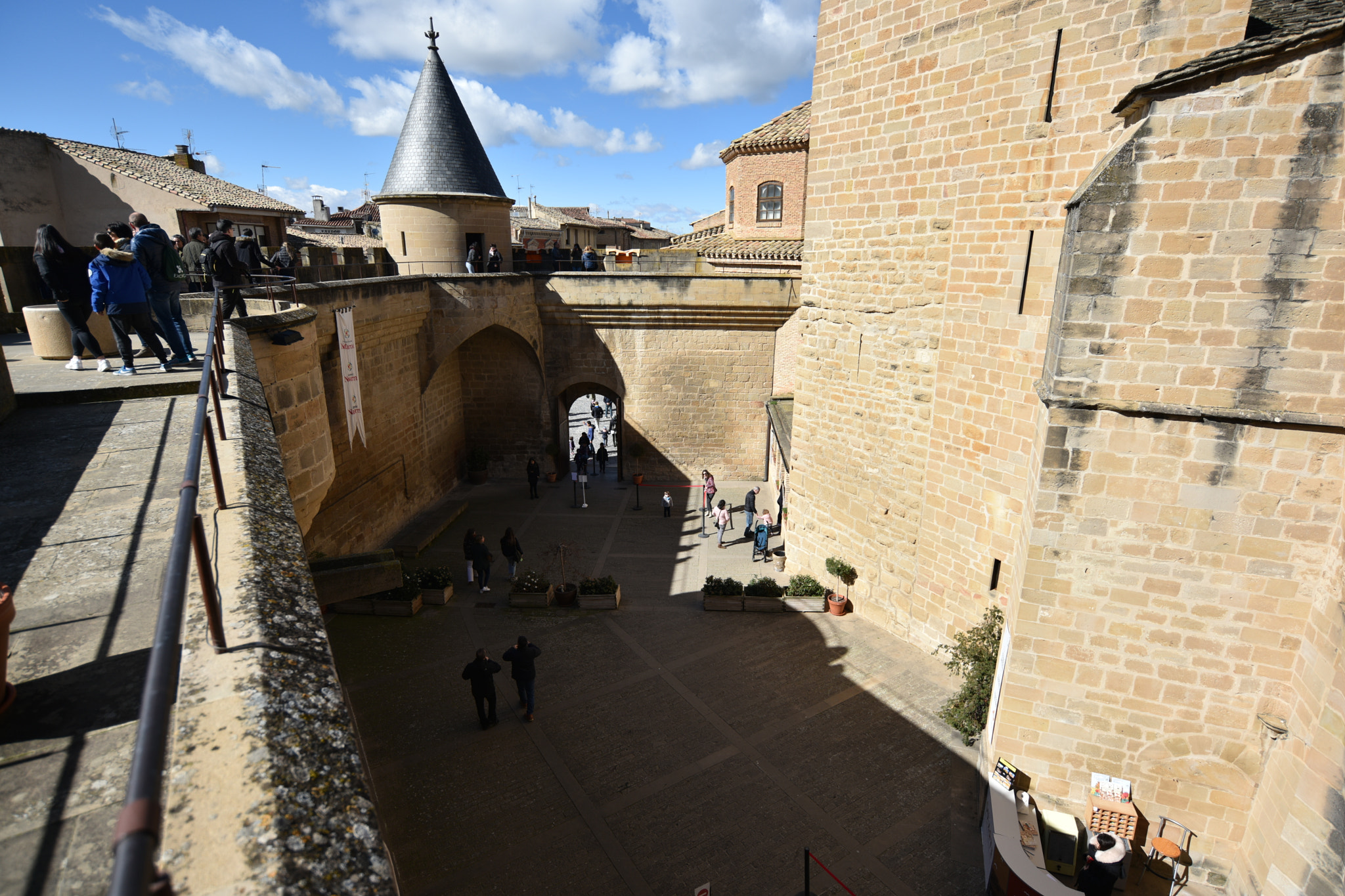 Nikon D810 + Nikon AF-S Nikkor 18-35mm F3.5-4.5G ED sample photo. Castillo de olite () photography