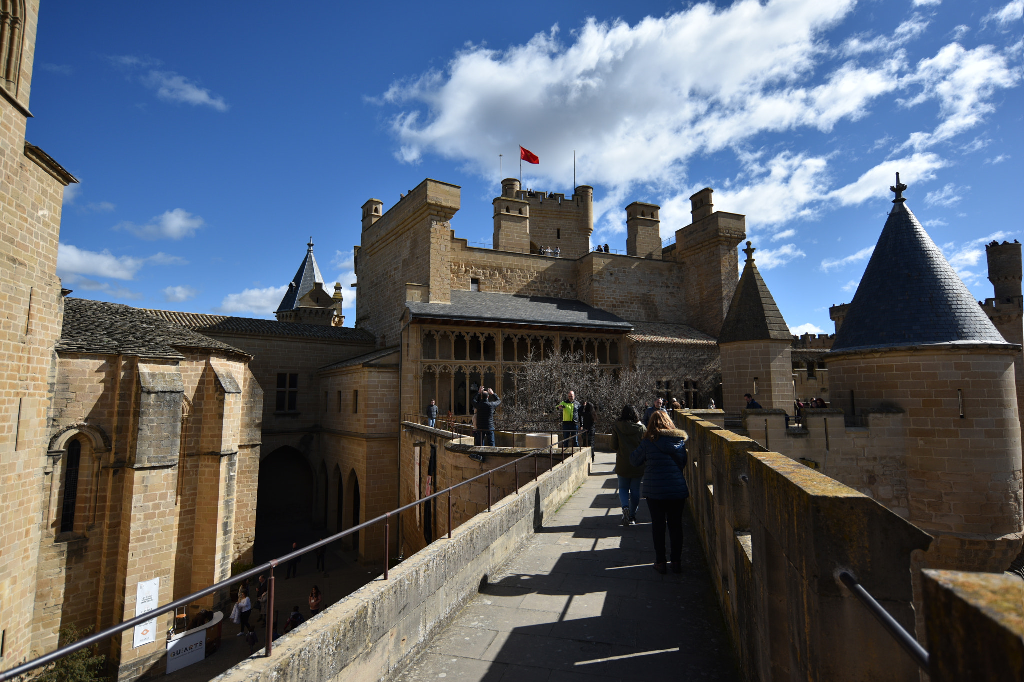 Nikon AF-S Nikkor 18-35mm F3.5-4.5G ED sample photo. Castillo de olite () photography