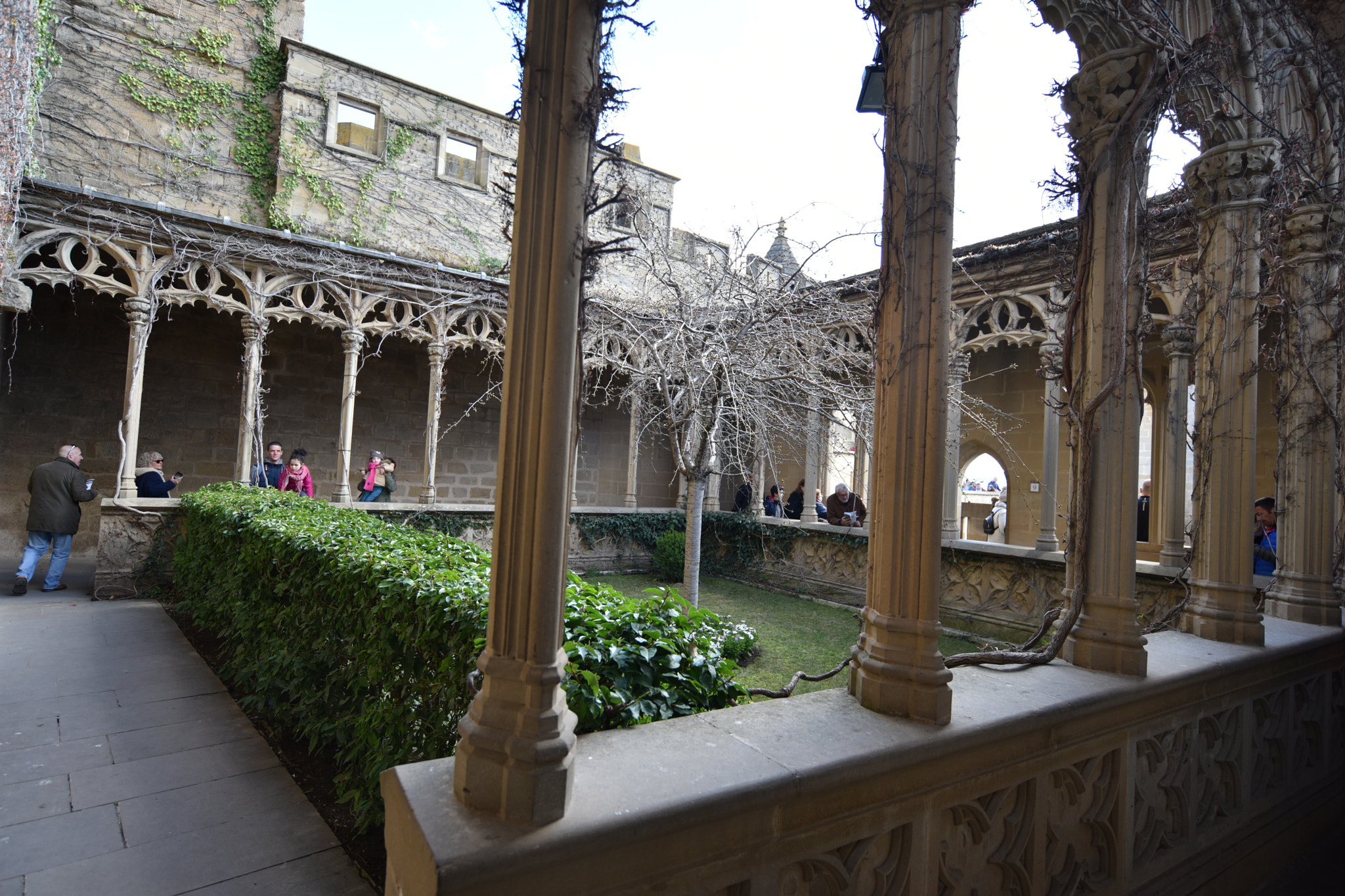 Nikon AF-S Nikkor 18-35mm F3.5-4.5G ED sample photo. Castillo de olite () photography