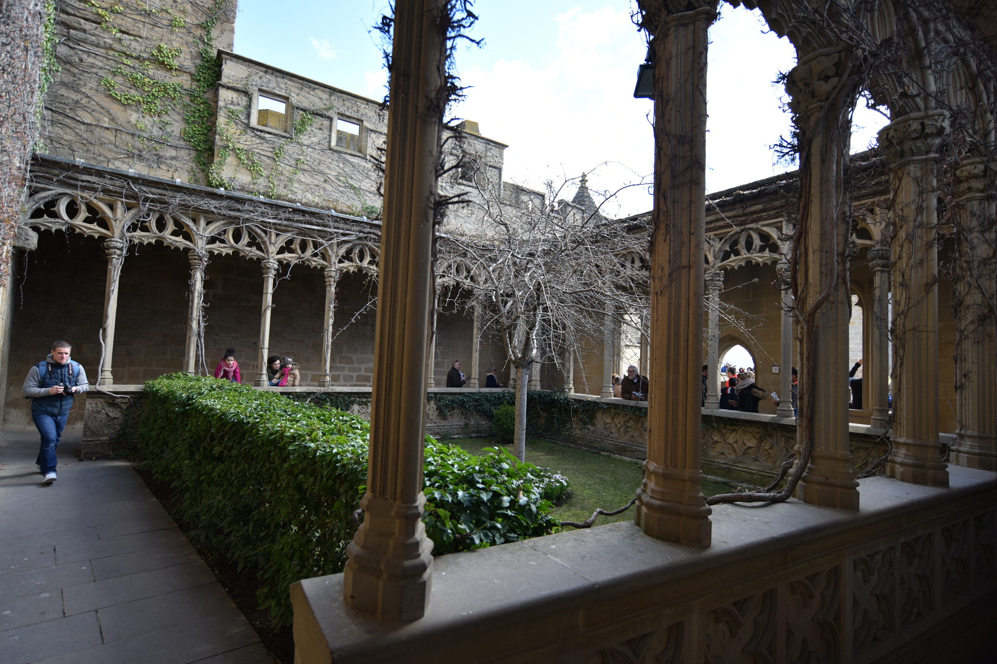 Nikon D810 + Nikon AF-S Nikkor 18-35mm F3.5-4.5G ED sample photo. Castillo de olite () photography