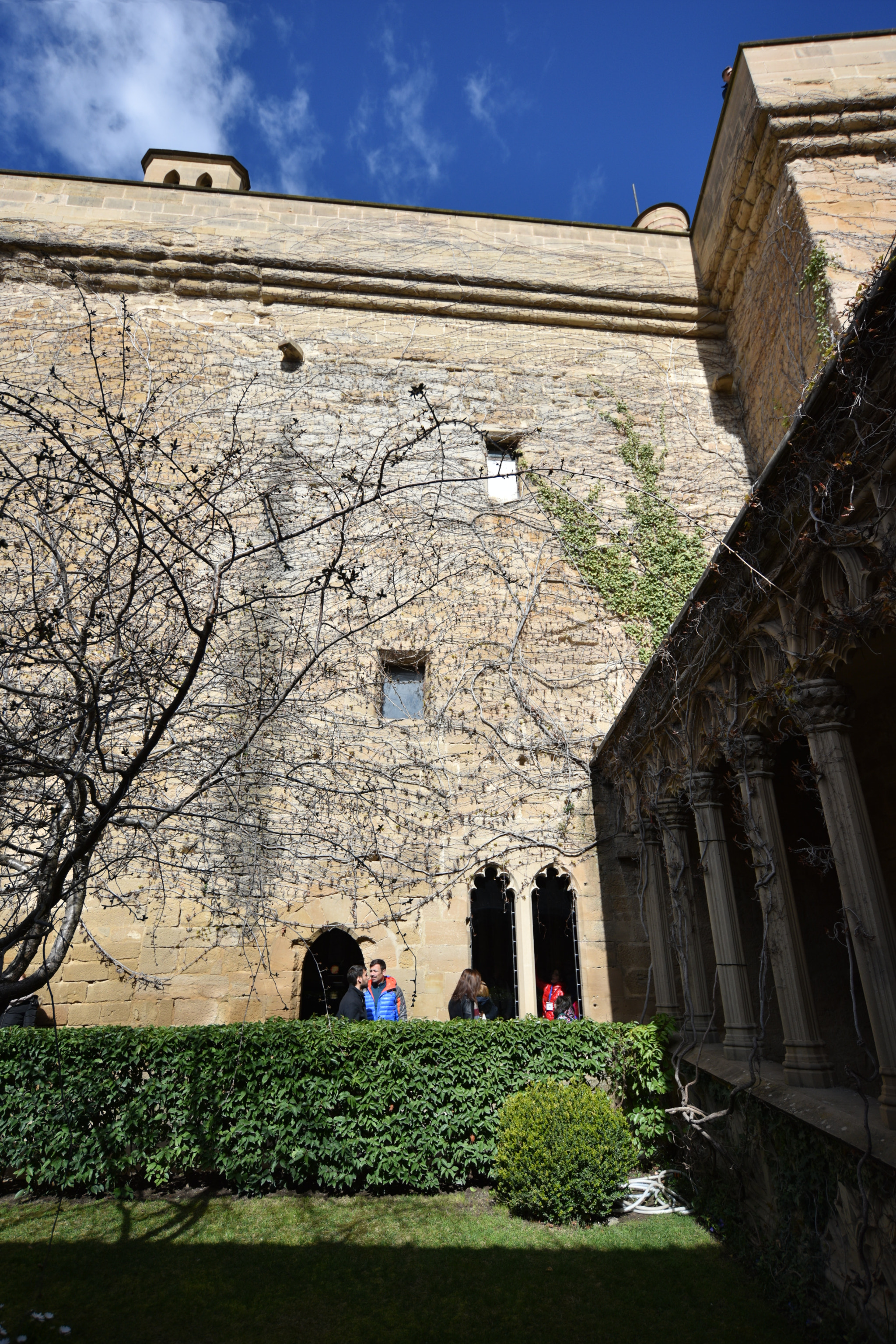 Nikon D810 + Nikon AF-S Nikkor 18-35mm F3.5-4.5G ED sample photo. Castillo de olite () photography