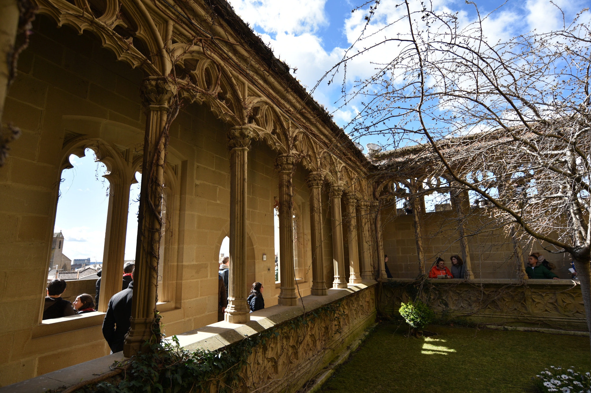 Nikon D810 + Nikon AF-S Nikkor 18-35mm F3.5-4.5G ED sample photo. Castillo de olite () photography