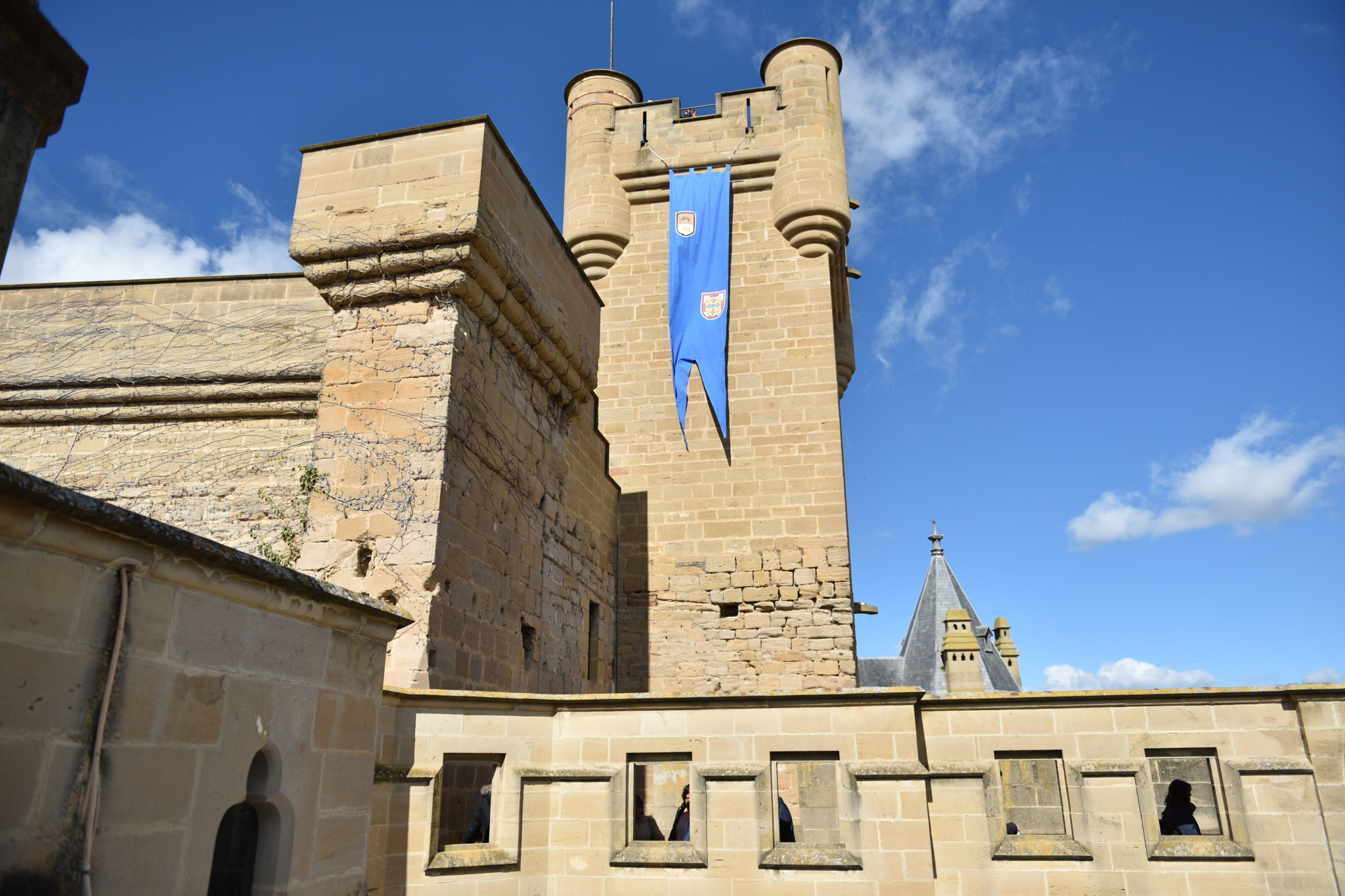 Nikon AF-S Nikkor 24-70mm F2.8G ED sample photo. Castillo de olite () photography