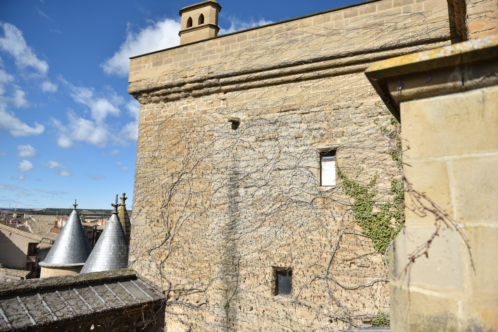 Nikon AF-S Nikkor 24-70mm F2.8G ED sample photo. Castillo de olite () photography