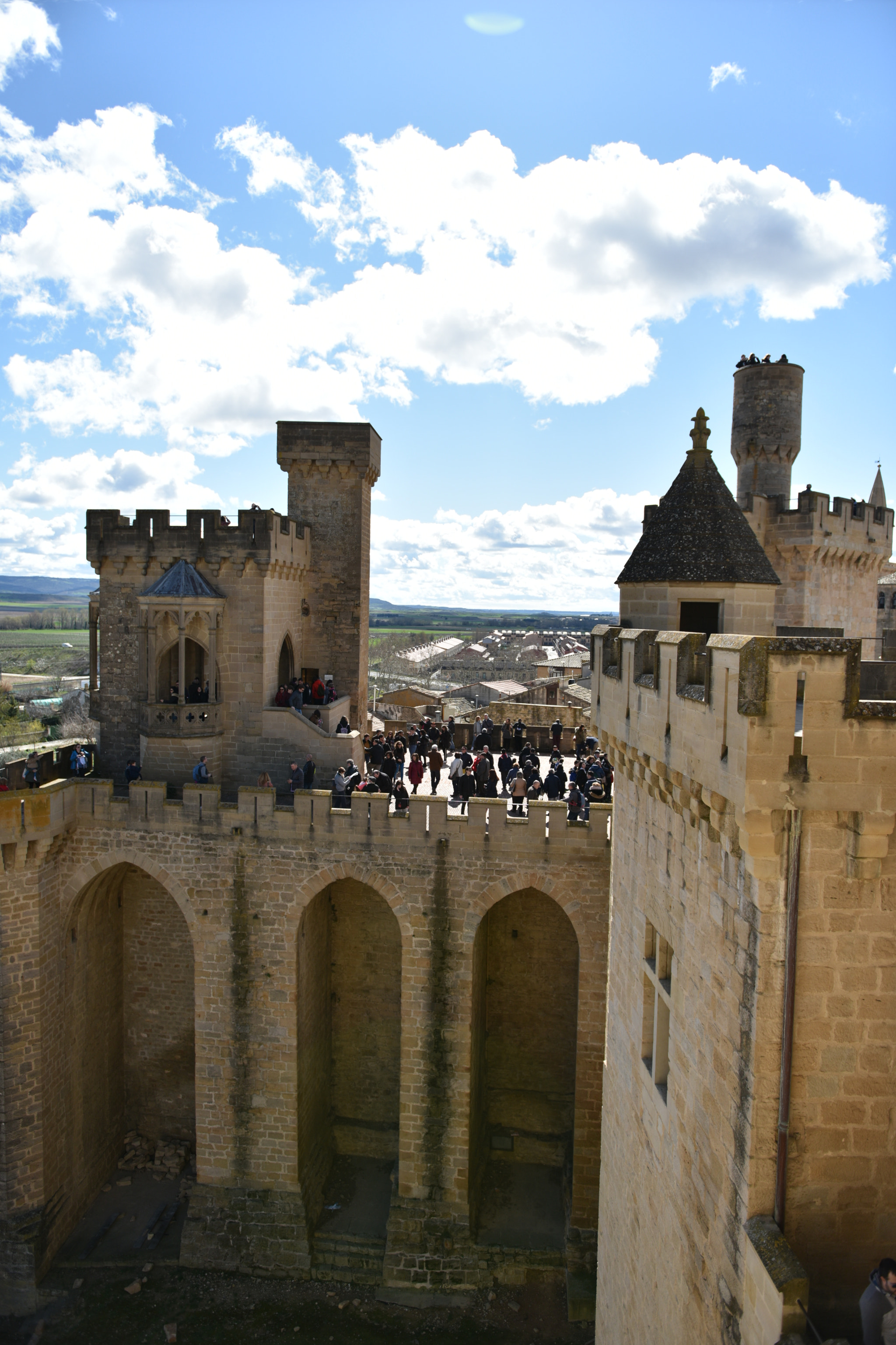 Nikon AF-S Nikkor 24-70mm F2.8G ED sample photo. Castillo de olite () photography