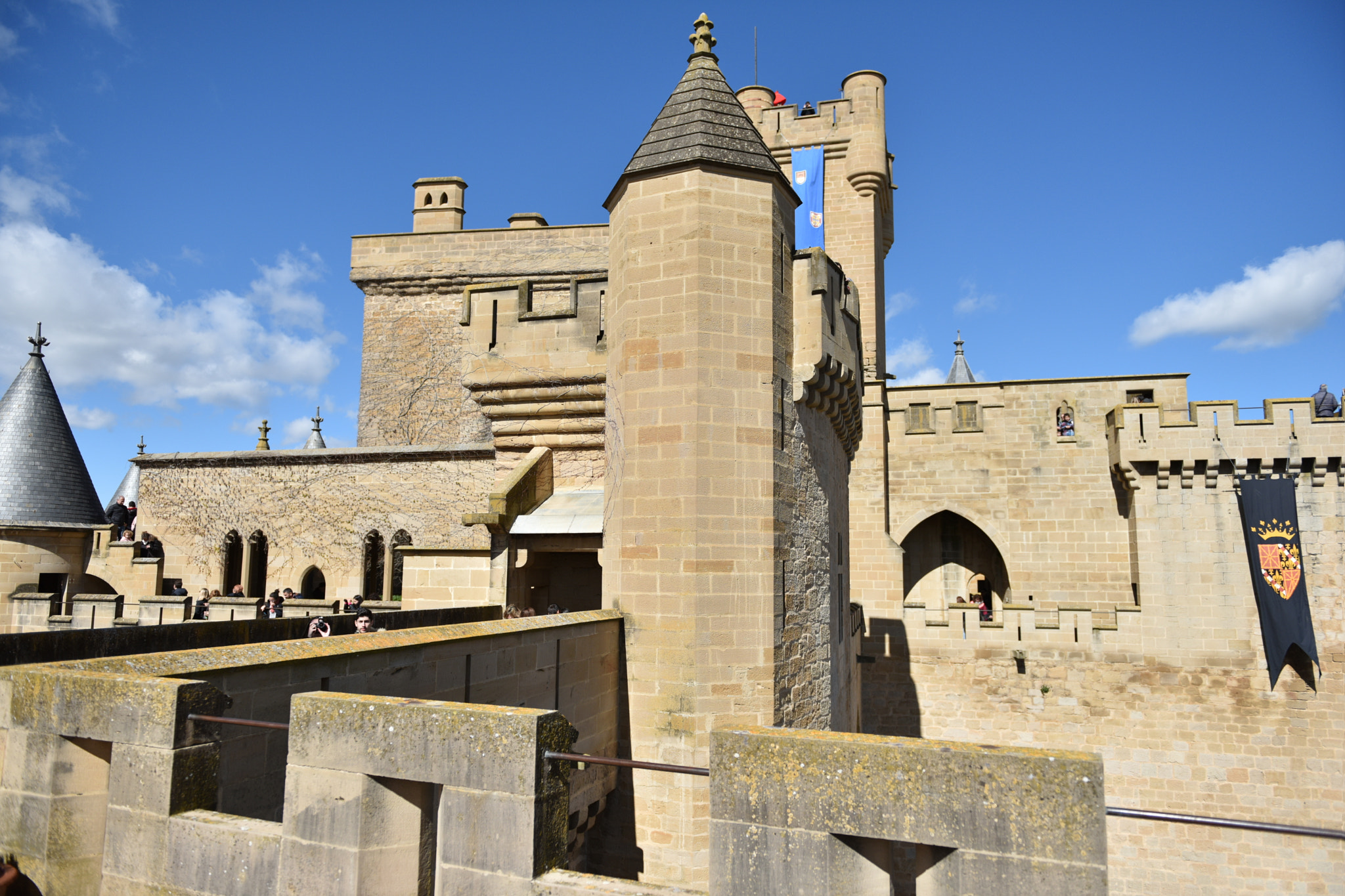 Nikon AF-S Nikkor 24-70mm F2.8G ED sample photo. Castillo de olite () photography