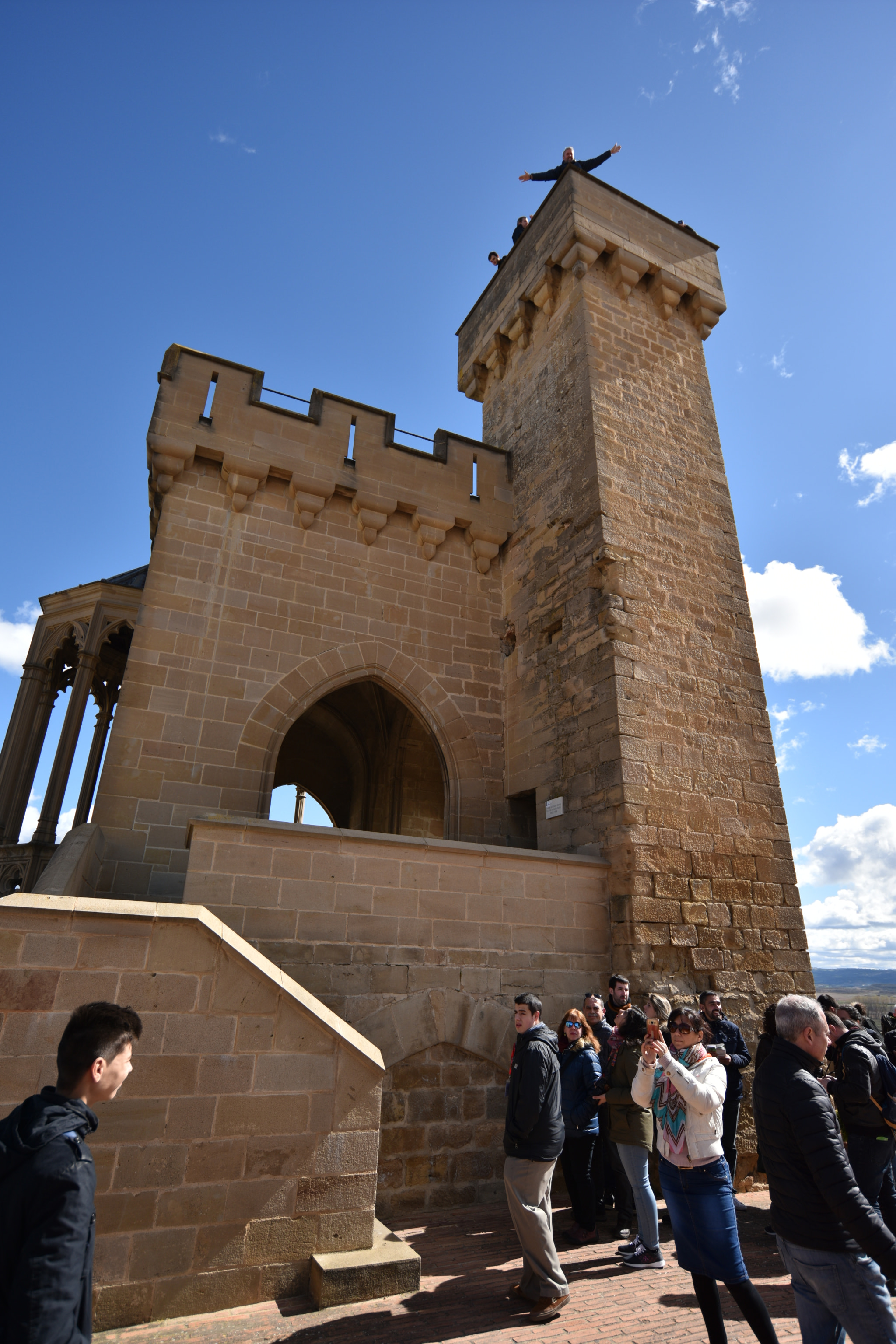 Nikon D810 + Nikon AF-S Nikkor 18-35mm F3.5-4.5G ED sample photo. Castillo de olite () photography