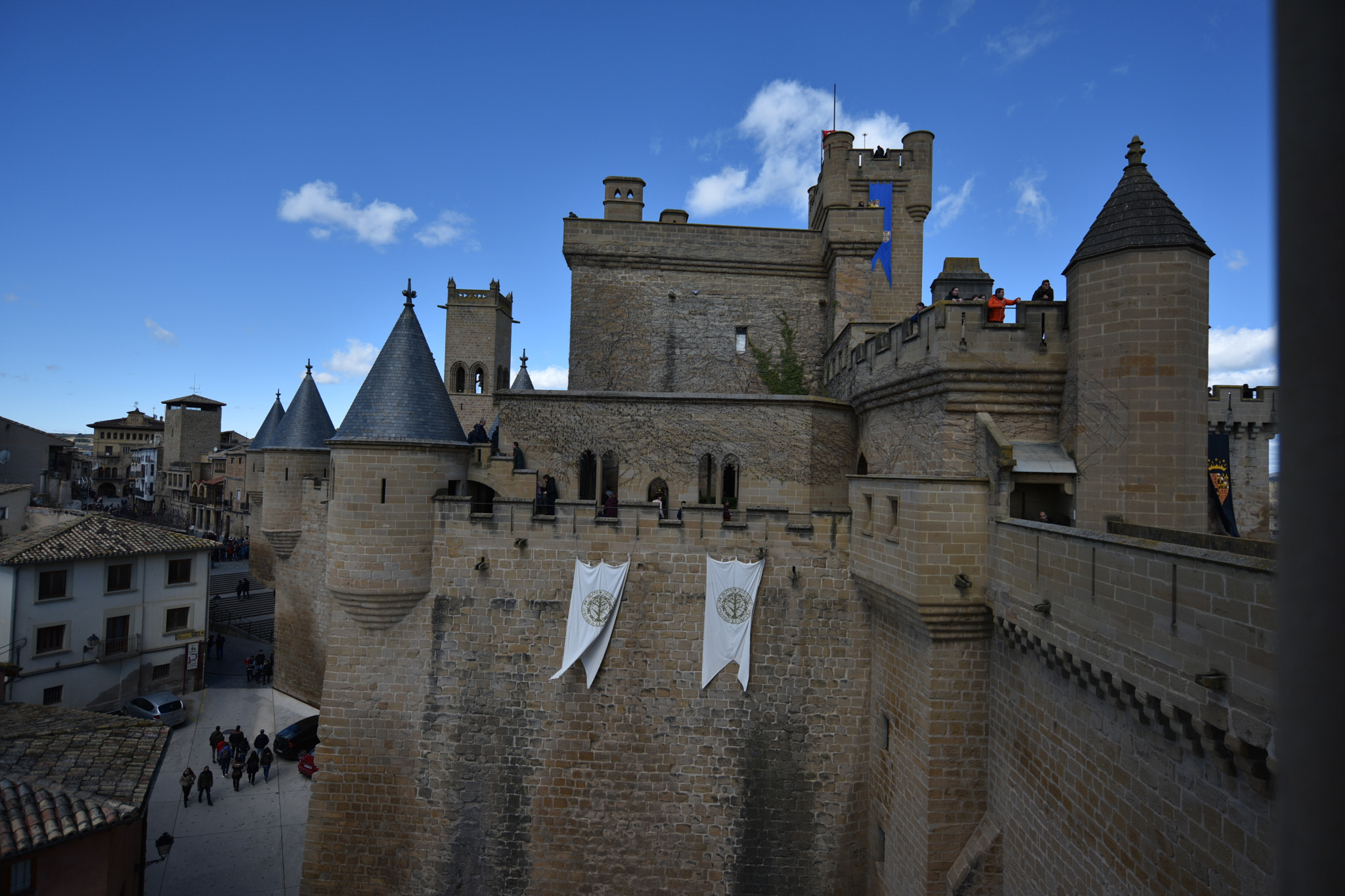 Nikon D810 + Nikon AF-S Nikkor 18-35mm F3.5-4.5G ED sample photo. Castillo de olite () photography