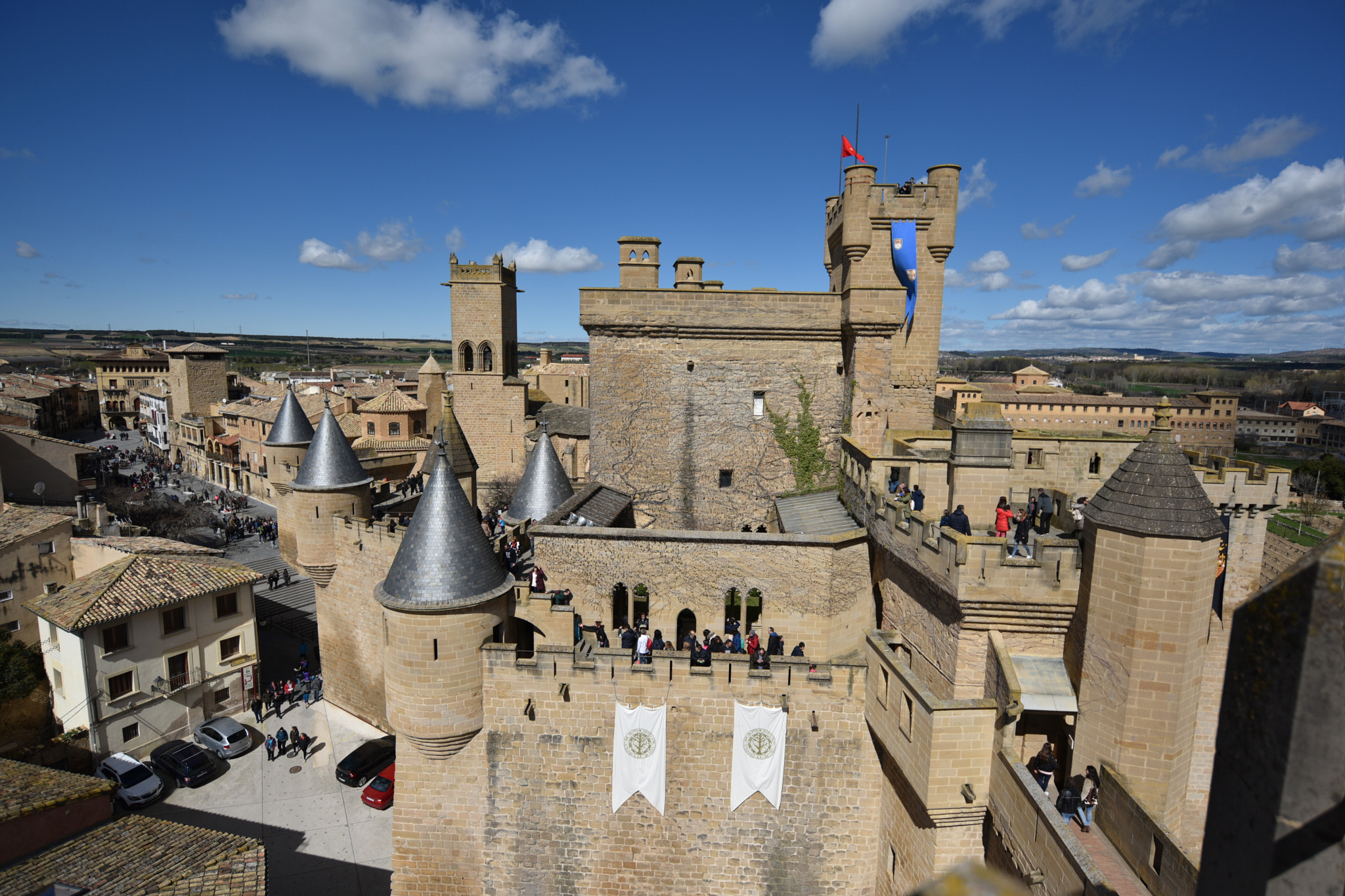 Nikon D810 + Nikon AF-S Nikkor 18-35mm F3.5-4.5G ED sample photo. Castillo de olite () photography