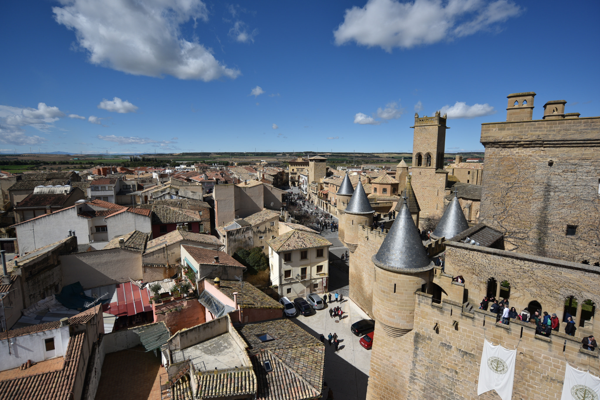 Nikon D810 + Nikon AF-S Nikkor 18-35mm F3.5-4.5G ED sample photo. Castillo de olite () photography