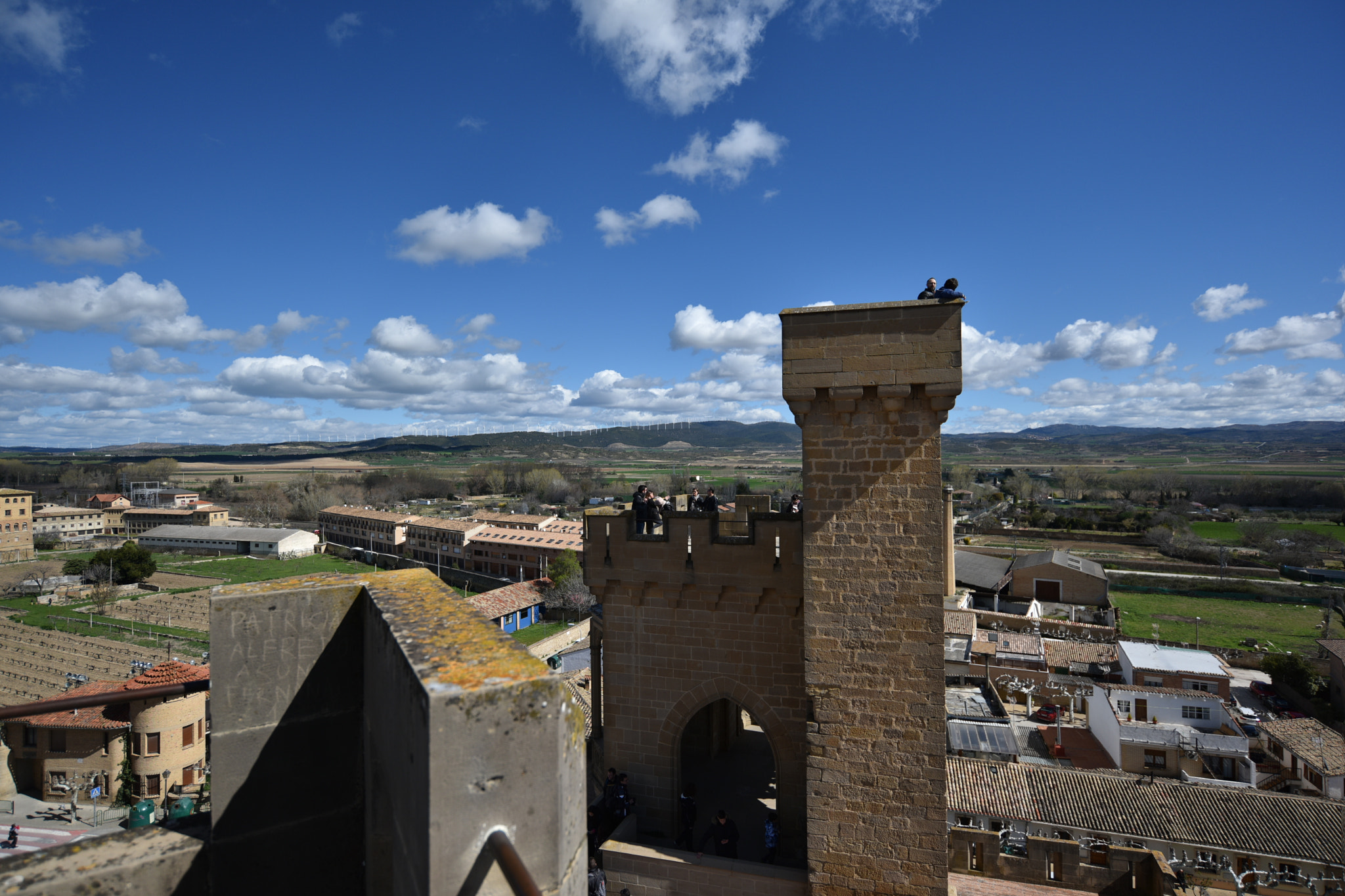 Nikon AF-S Nikkor 18-35mm F3.5-4.5G ED sample photo. Castillo de olite () photography