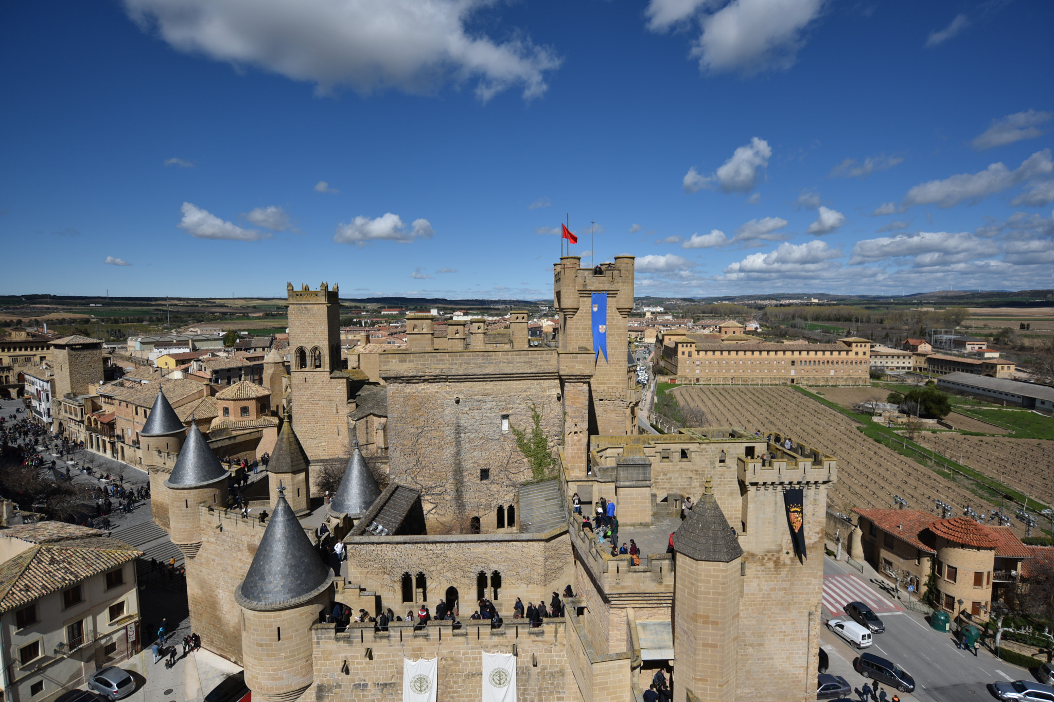 Nikon D810 + Nikon AF-S Nikkor 18-35mm F3.5-4.5G ED sample photo. Castillo de olite () photography