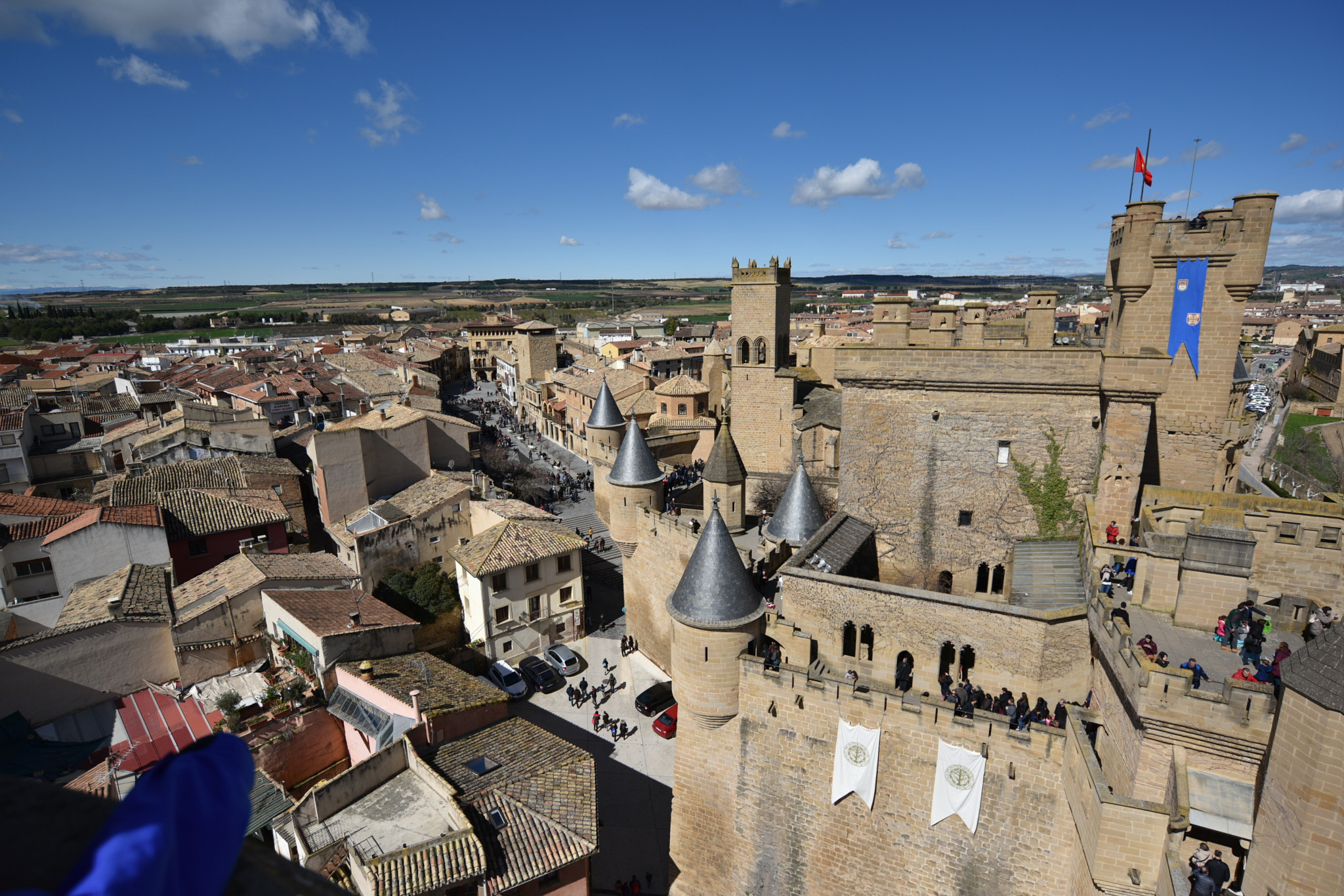 Nikon AF-S Nikkor 18-35mm F3.5-4.5G ED sample photo. Castillo de olite () photography