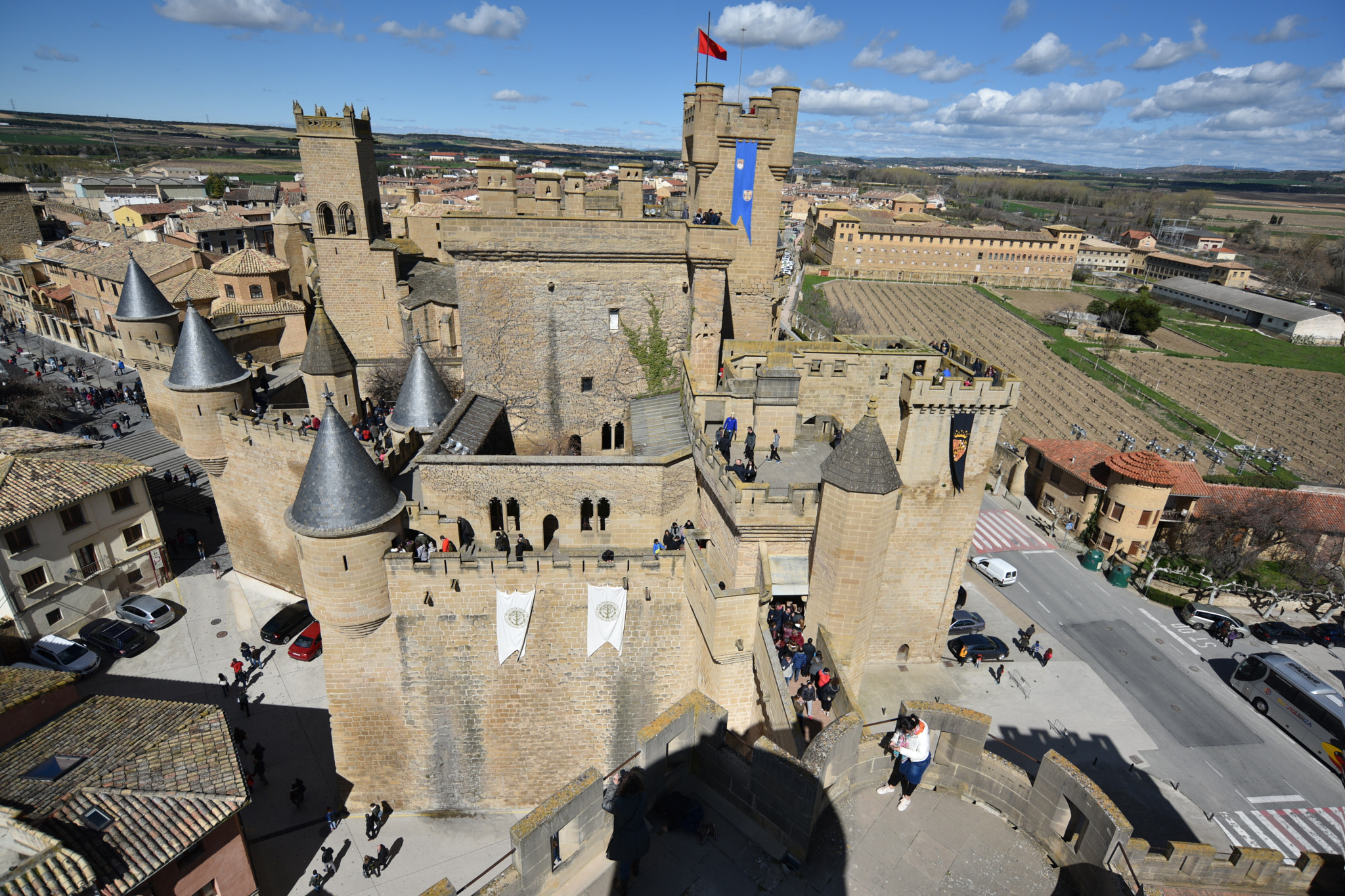 Nikon D810 sample photo. Castillo de olite () photography