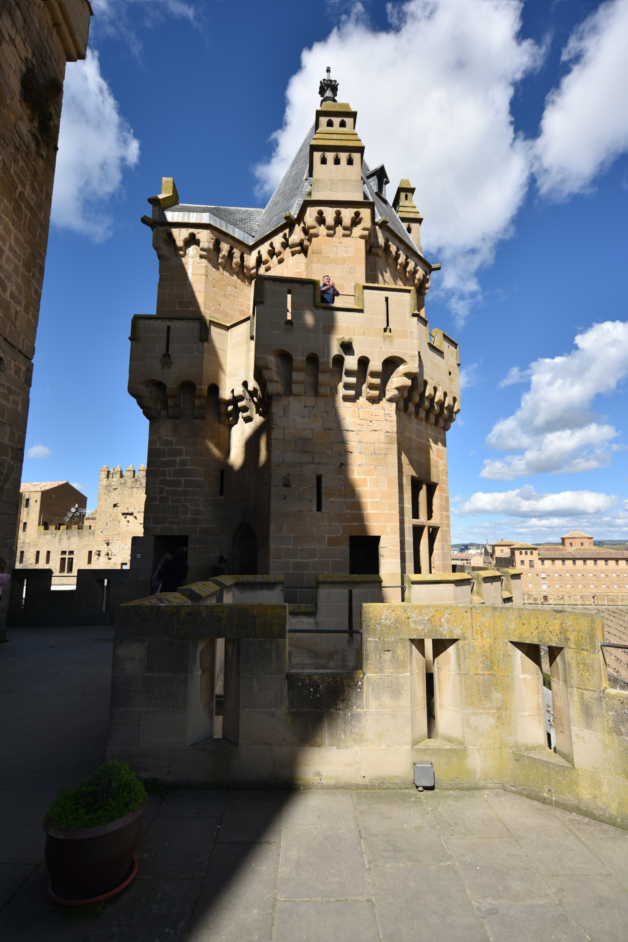 Nikon AF-S Nikkor 18-35mm F3.5-4.5G ED sample photo. Castillo de olite () photography