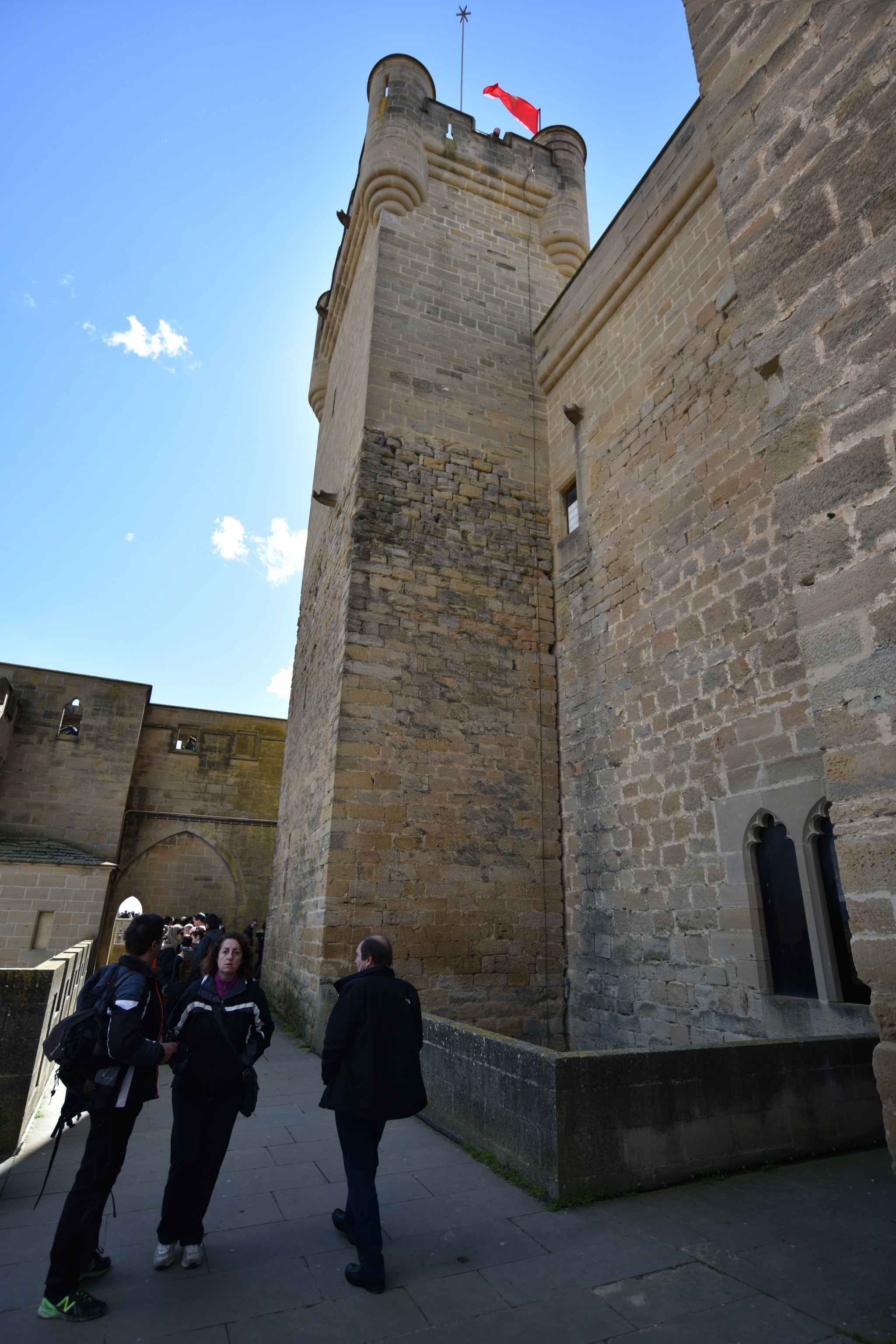 Nikon D810 sample photo. Castillo de olite () photography