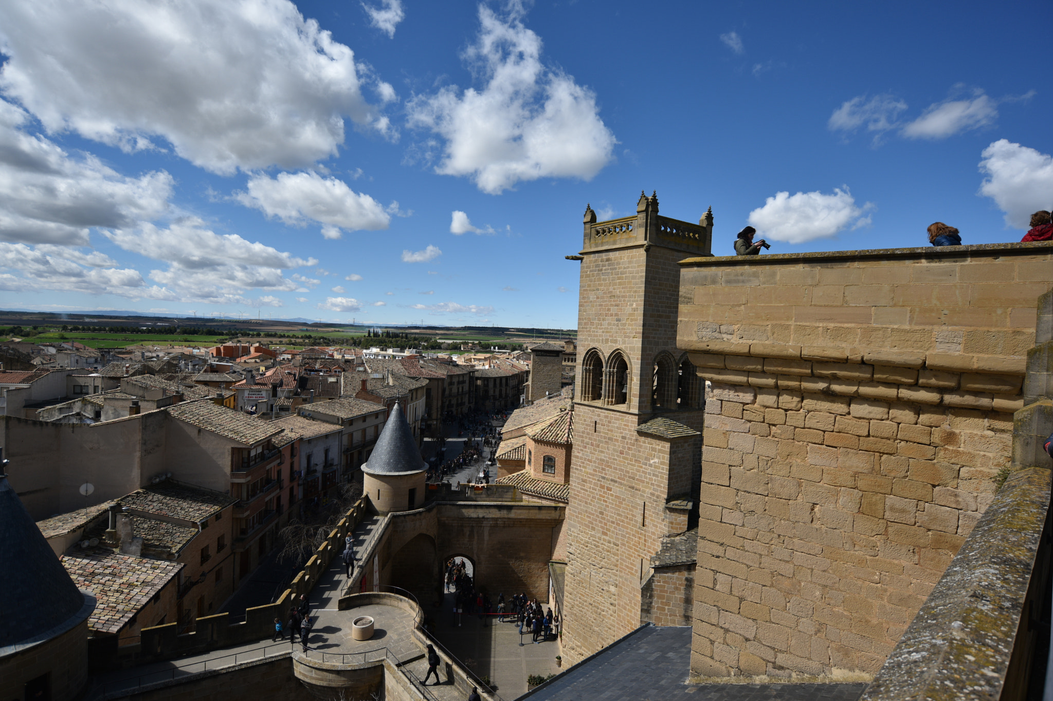 Nikon D810 + Nikon AF-S Nikkor 18-35mm F3.5-4.5G ED sample photo. Castillo de olite () photography