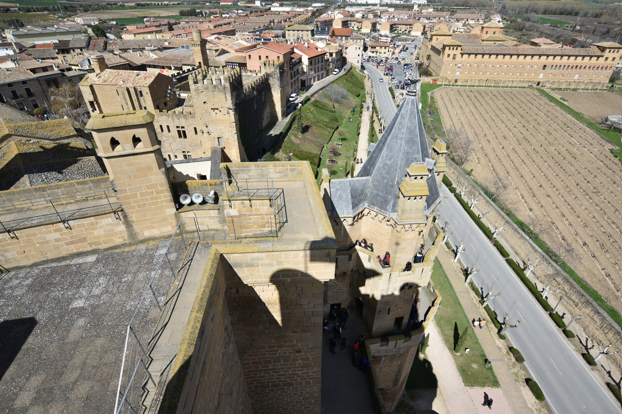 Nikon D810 + Nikon AF-S Nikkor 18-35mm F3.5-4.5G ED sample photo. Castillo de olite () photography