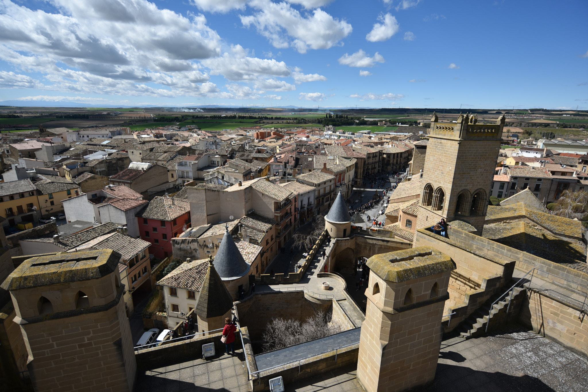 Nikon D810 + Nikon AF-S Nikkor 18-35mm F3.5-4.5G ED sample photo. Castillo de olite () photography