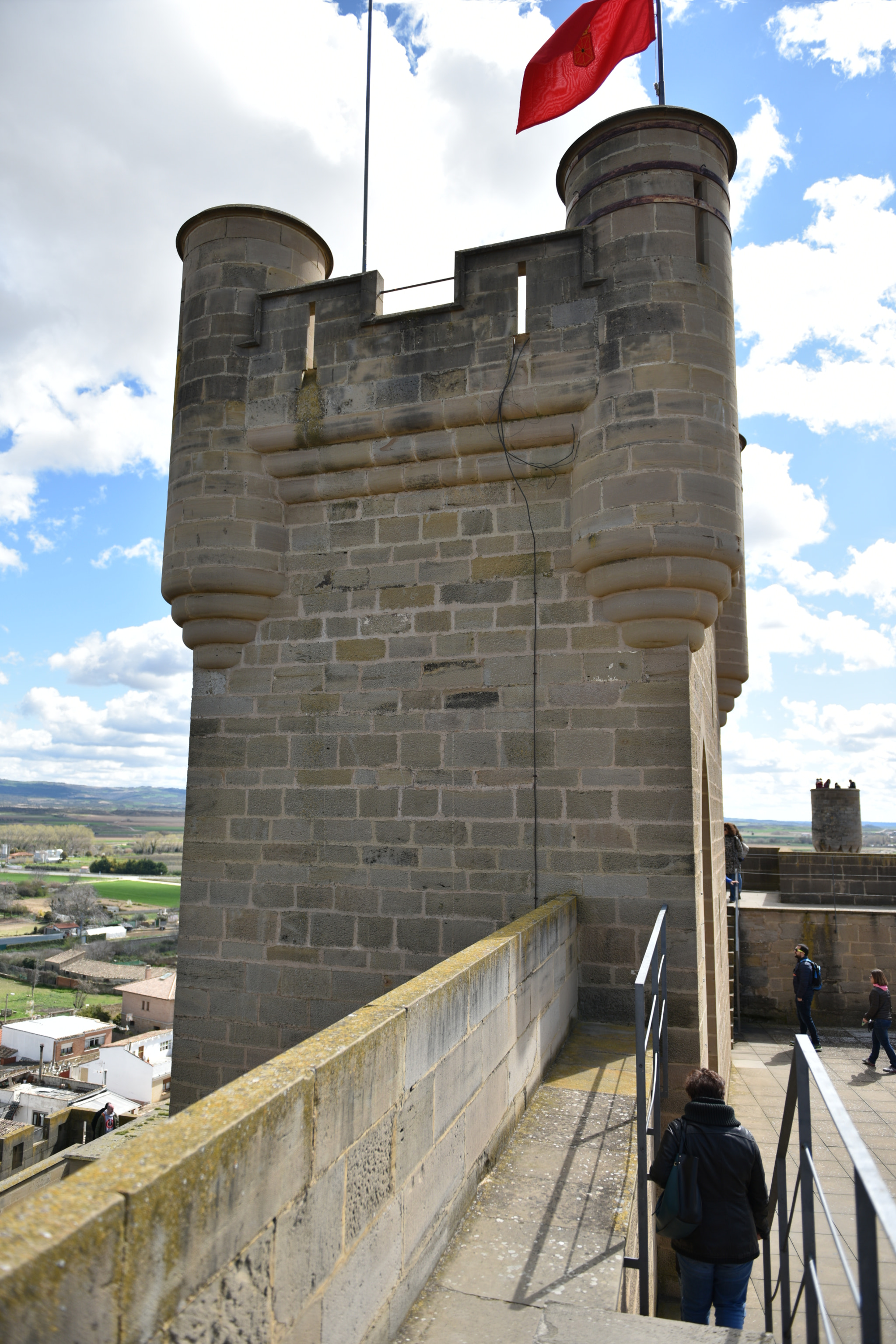 Nikon AF-S Nikkor 24-70mm F2.8G ED sample photo. Castillo de olite () photography
