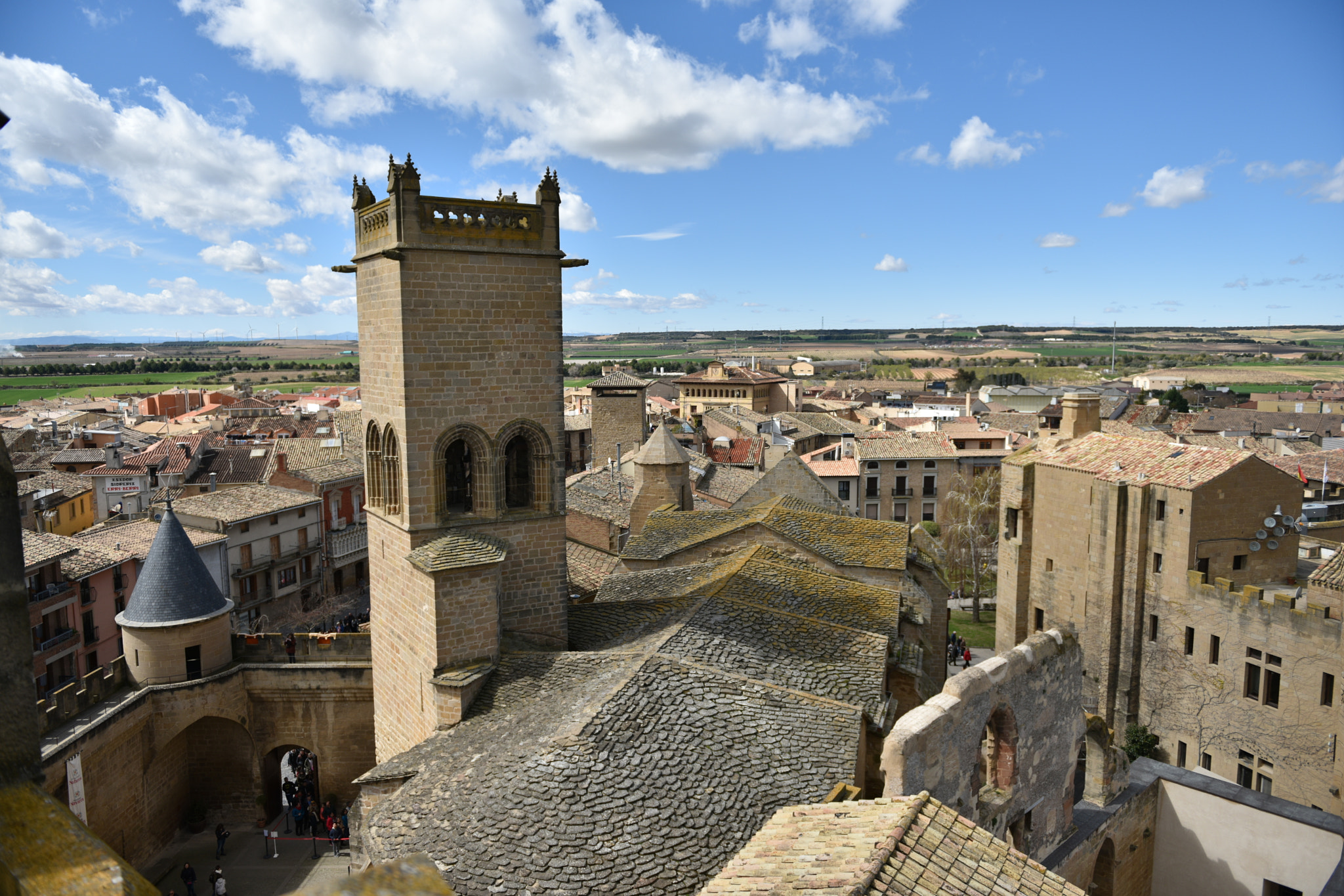 Nikon AF-S Nikkor 24-70mm F2.8G ED sample photo. Castillo de olite () photography