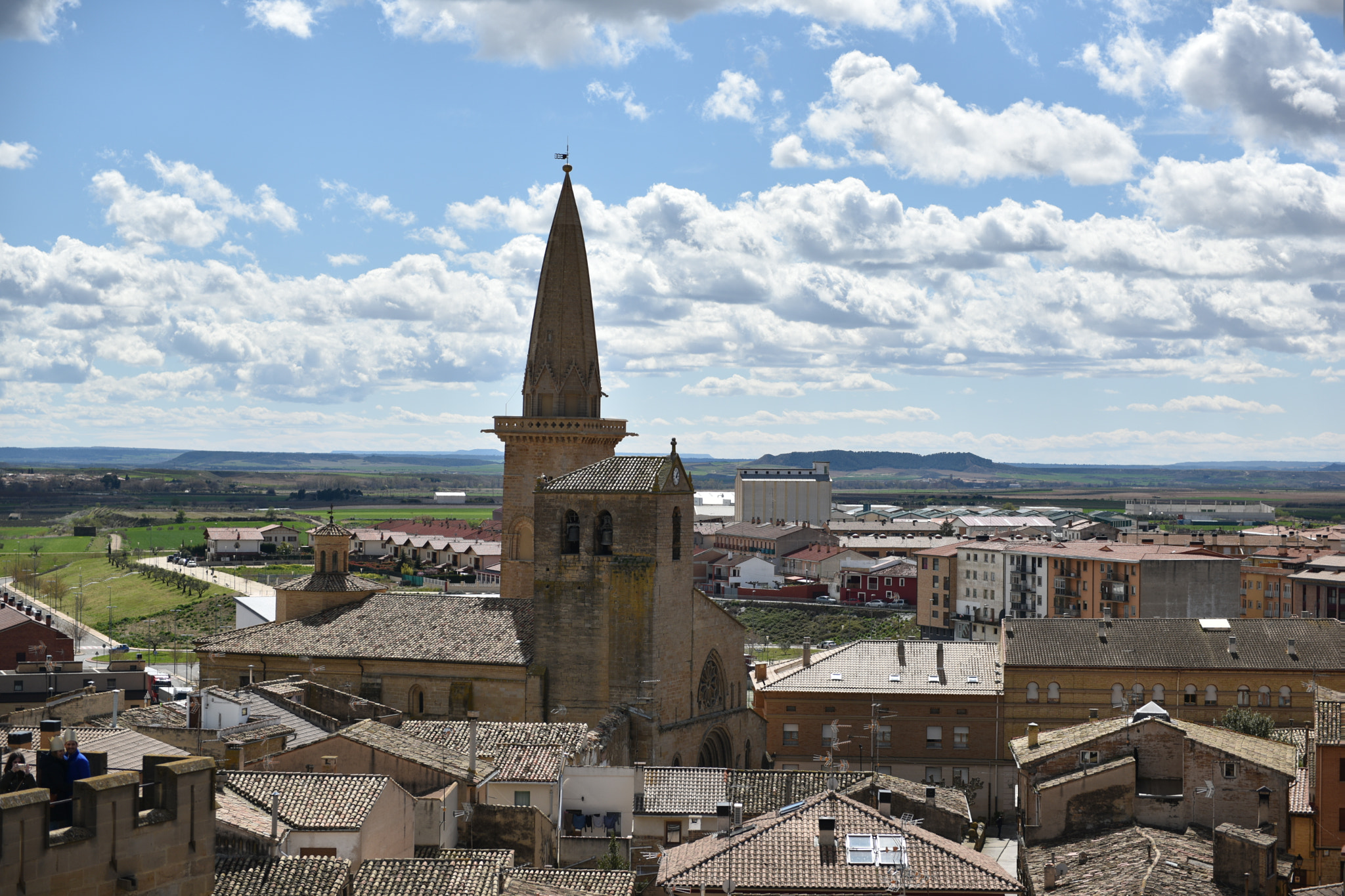 Nikon AF-S Nikkor 24-70mm F2.8G ED sample photo. Castillo de olite () photography