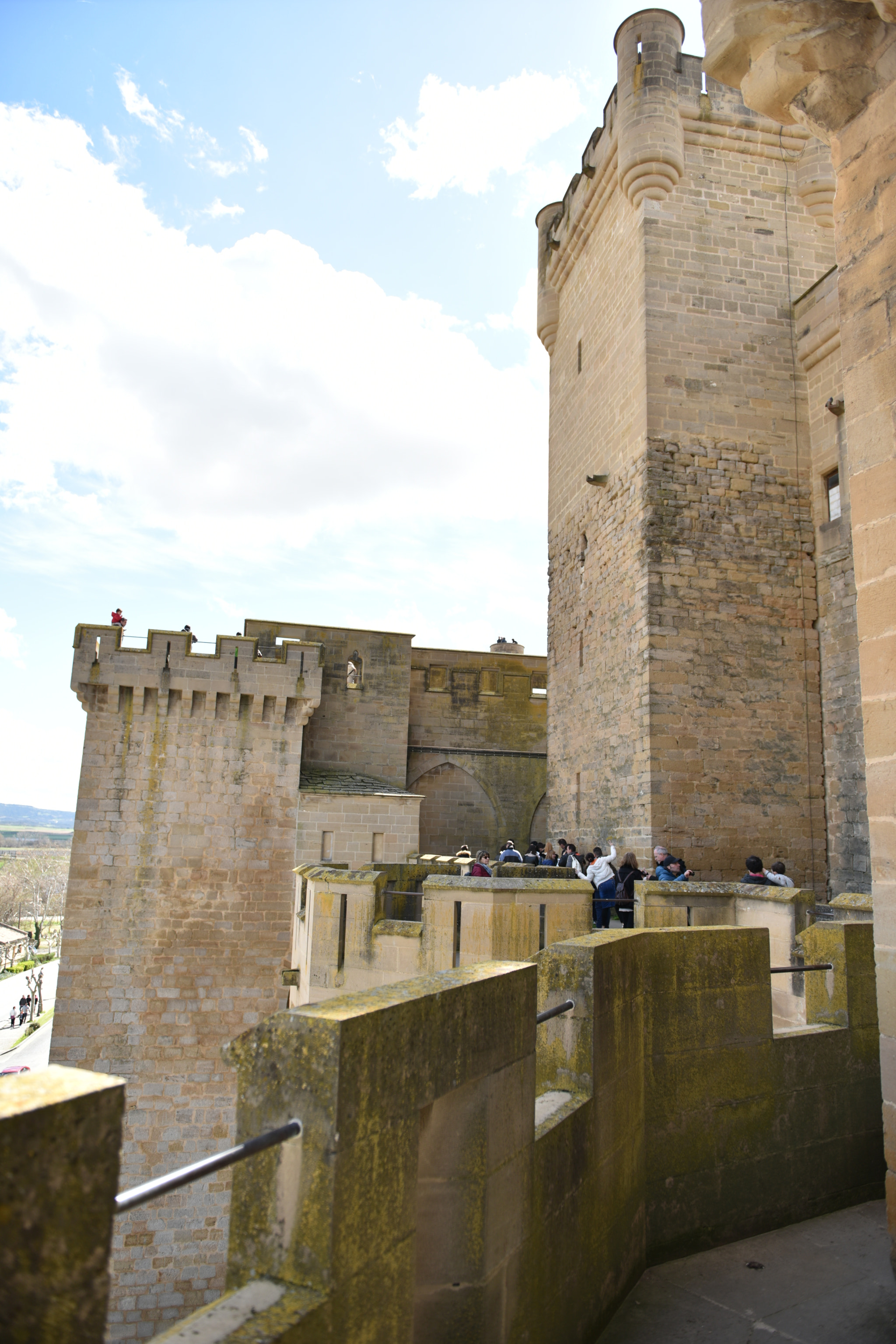 Nikon AF-S Nikkor 24-70mm F2.8G ED sample photo. Castillo de olite () photography