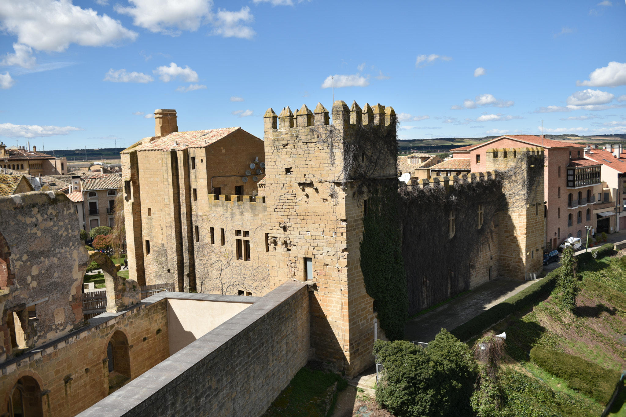 Nikon AF-S Nikkor 24-70mm F2.8G ED sample photo. Castillo de olite () photography