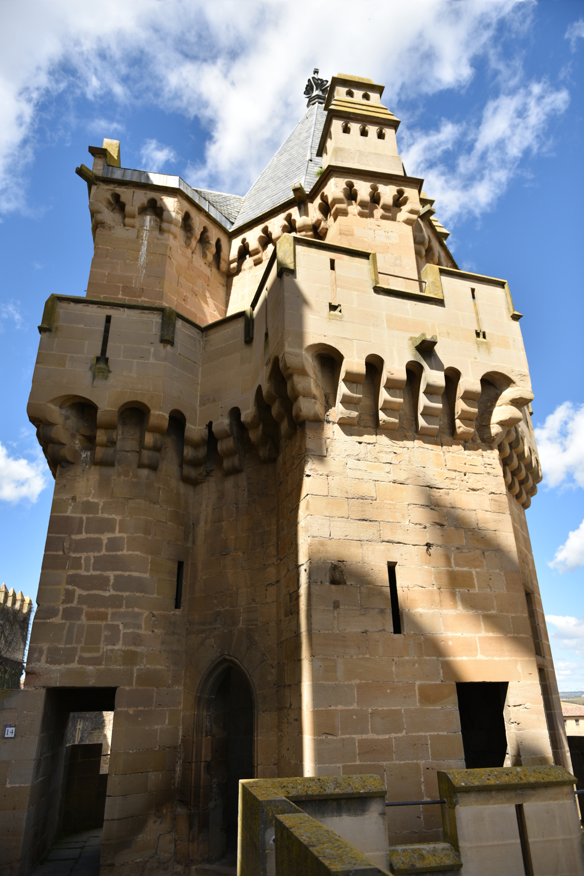 Nikon AF-S Nikkor 24-70mm F2.8G ED sample photo. Castillo de olite () photography