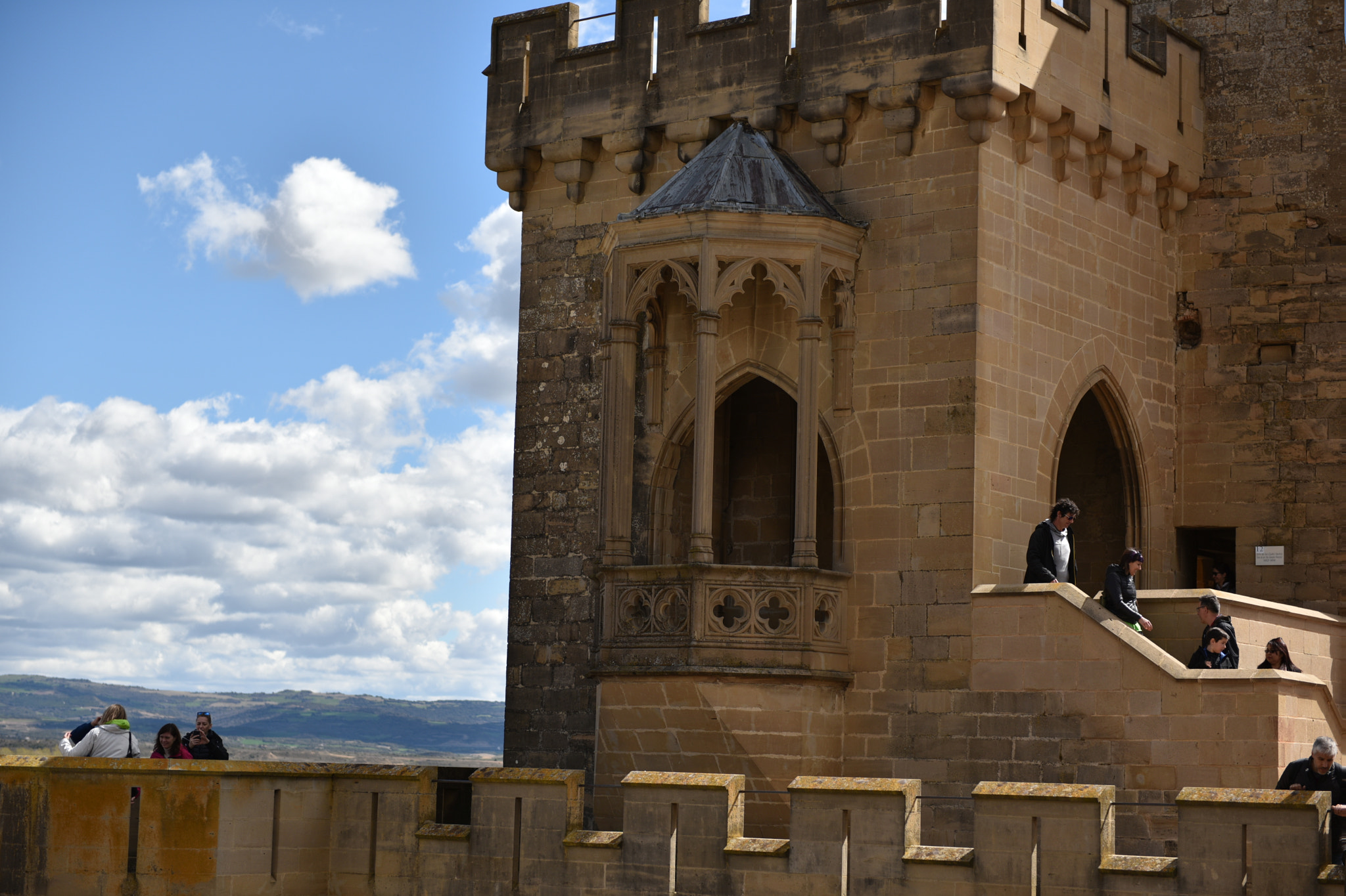 Nikon AF-S Nikkor 24-70mm F2.8G ED sample photo. Castillo de olite () photography