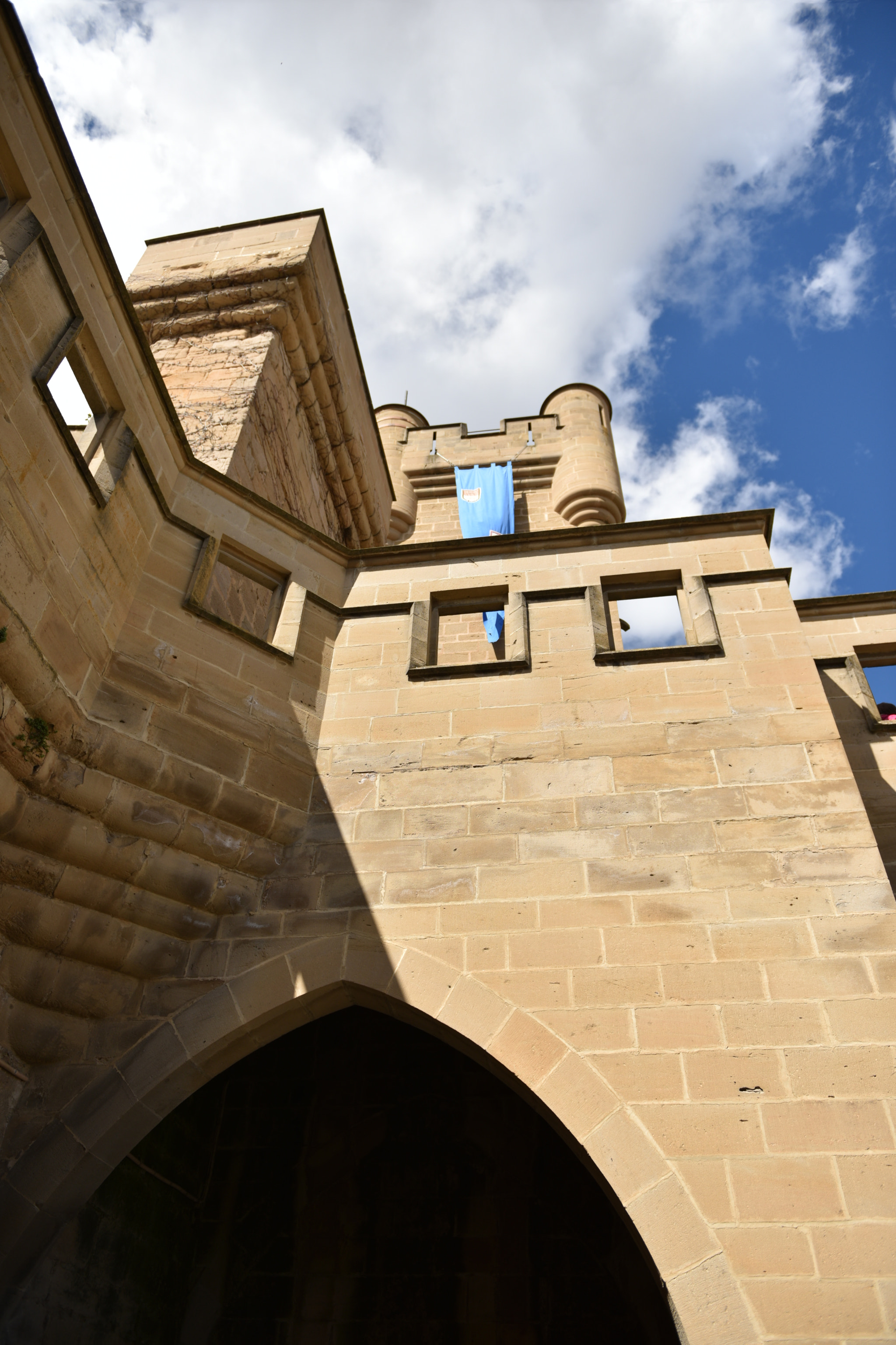 Nikon AF-S Nikkor 24-70mm F2.8G ED sample photo. Castillo de olite () photography