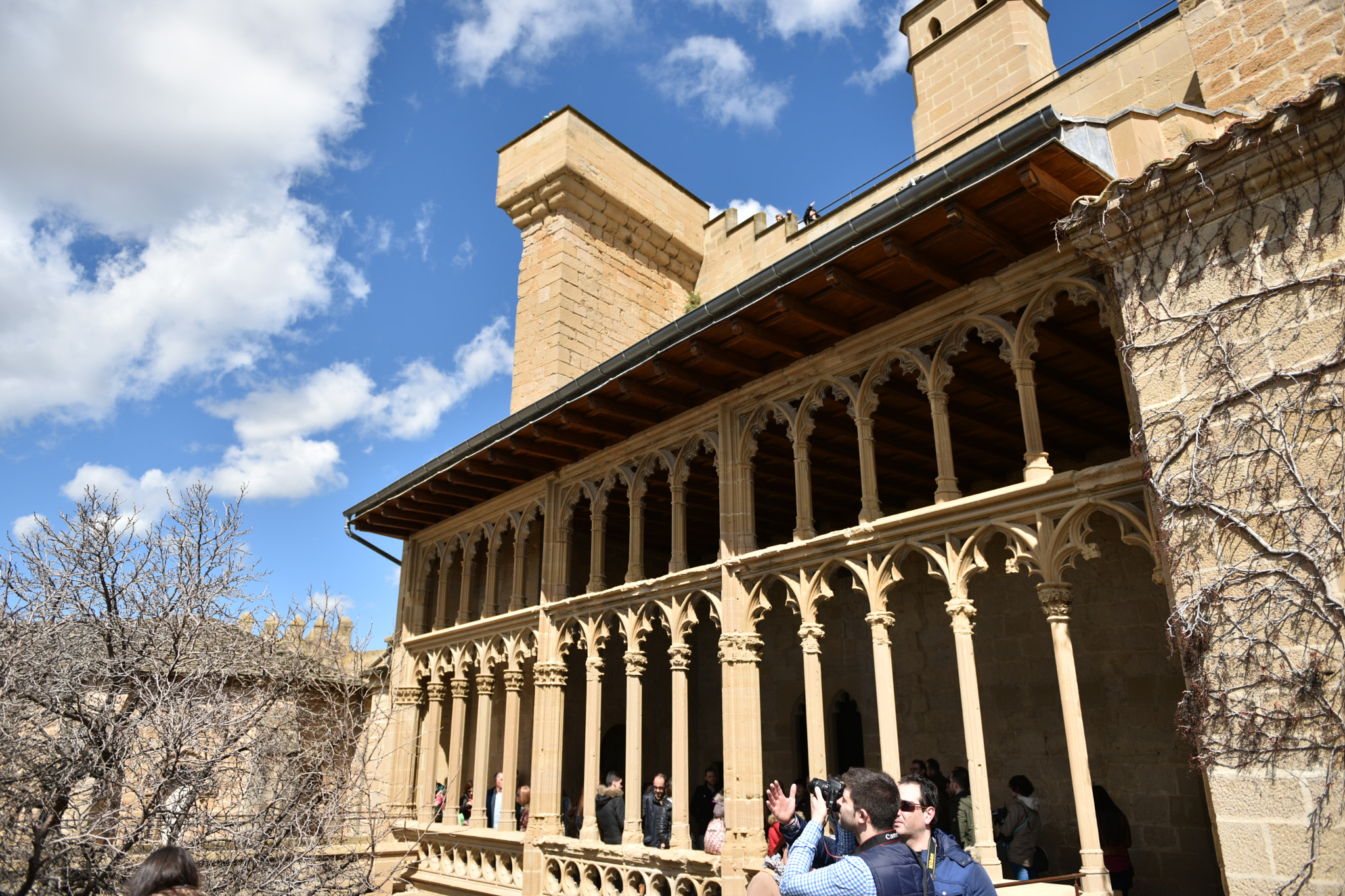 Nikon AF-S Nikkor 24-70mm F2.8G ED sample photo. Castillo de olite () photography