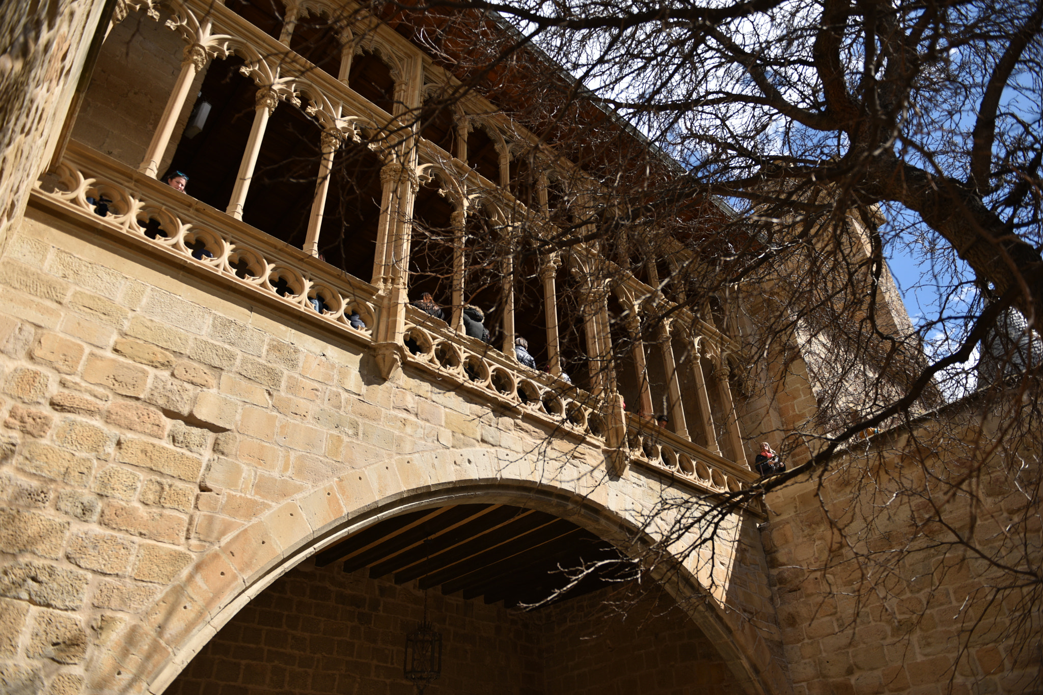 Nikon AF-S Nikkor 24-70mm F2.8G ED sample photo. Castillo de olite () photography