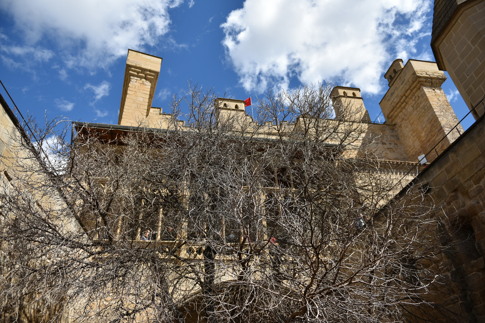 Nikon AF-S Nikkor 24-70mm F2.8G ED sample photo. Castillo de olite () photography