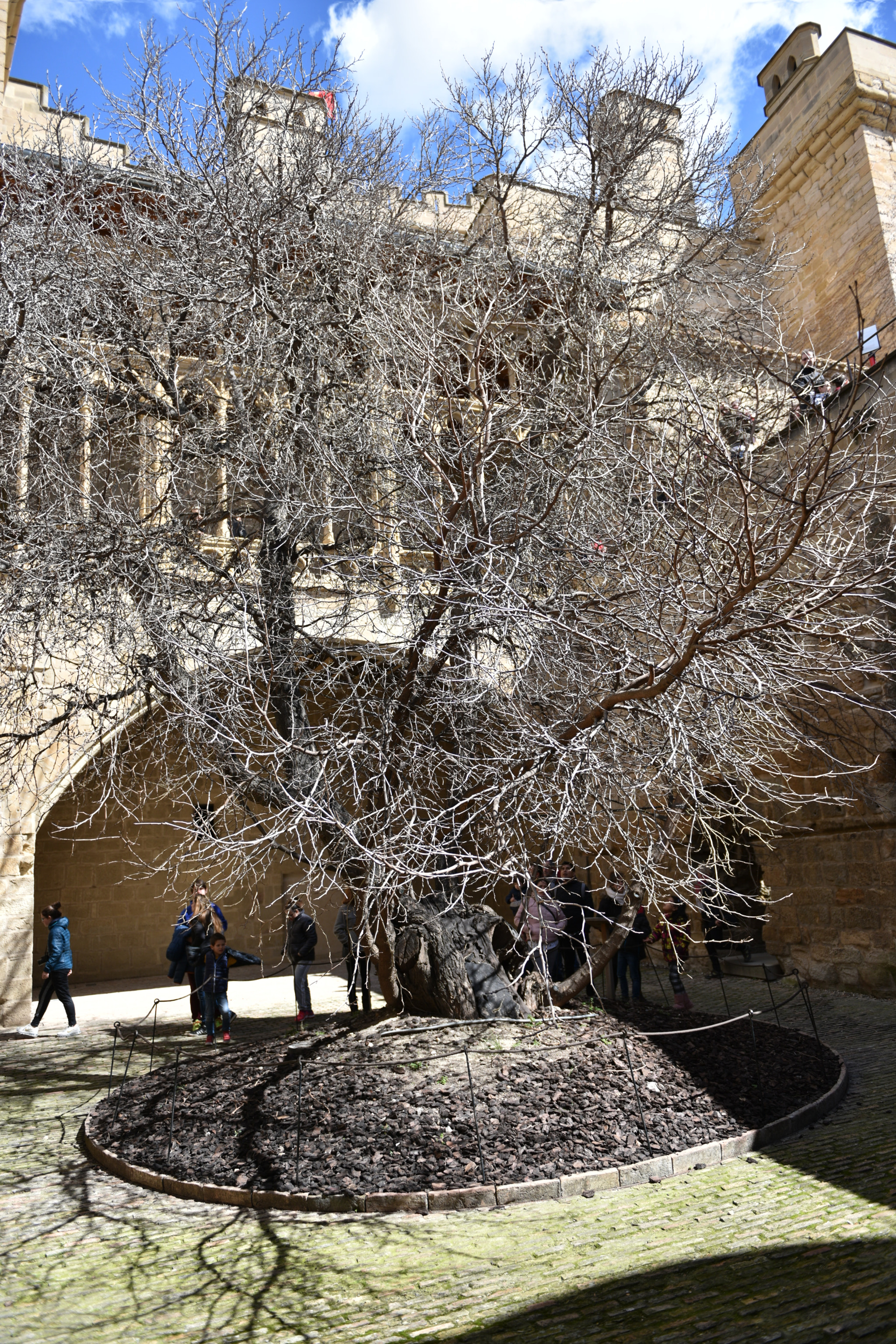 Nikon AF-S Nikkor 24-70mm F2.8G ED sample photo. Castillo de olite () photography