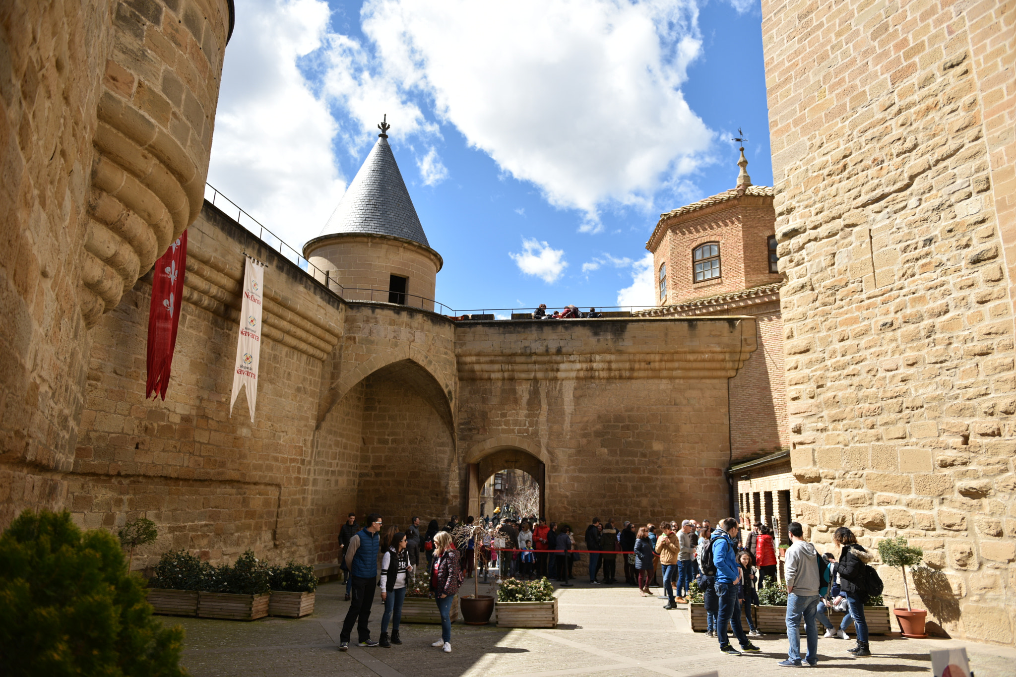 Nikon AF-S Nikkor 24-70mm F2.8G ED sample photo. Castillo de olite () photography