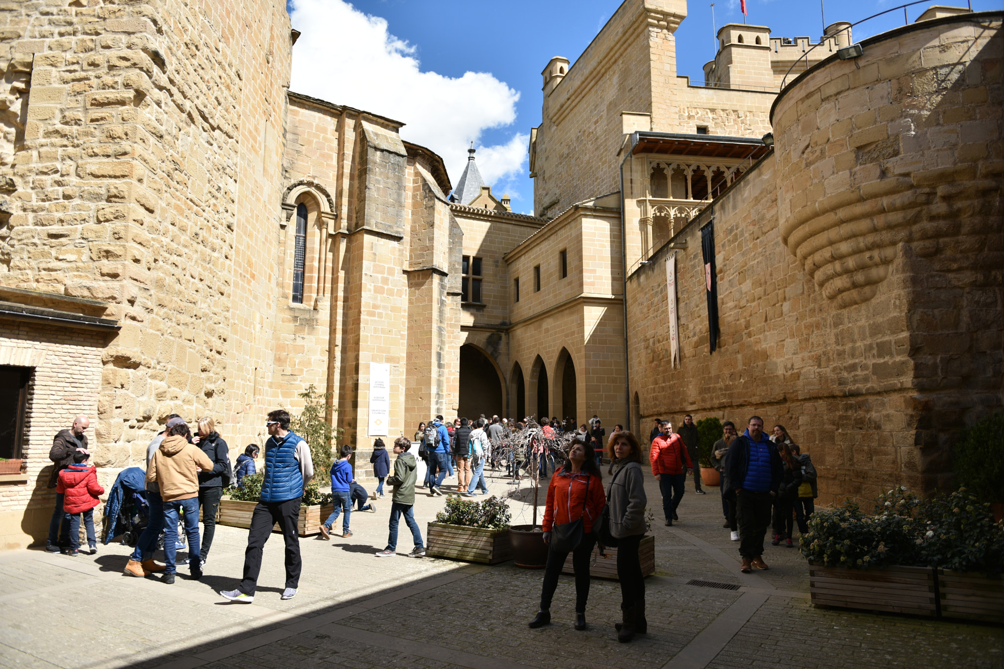 Nikon AF-S Nikkor 24-70mm F2.8G ED sample photo. Castillo de olite () photography
