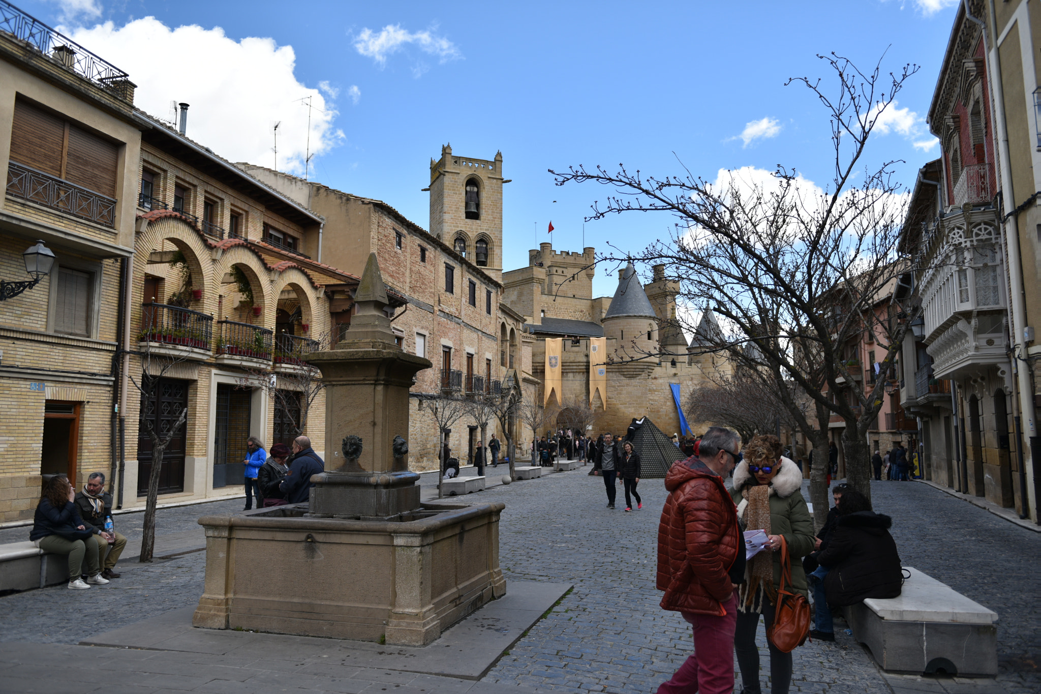Nikon AF-S Nikkor 24-70mm F2.8G ED sample photo. Castillo de olite () photography