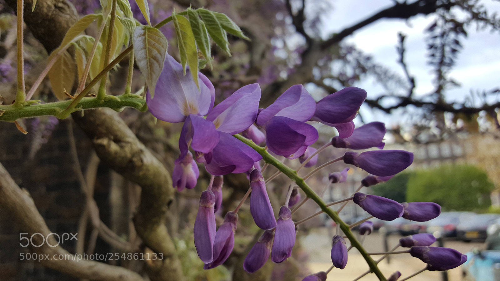 Samsung Galaxy S6 sample photo. 20180423_083357.jpg photography