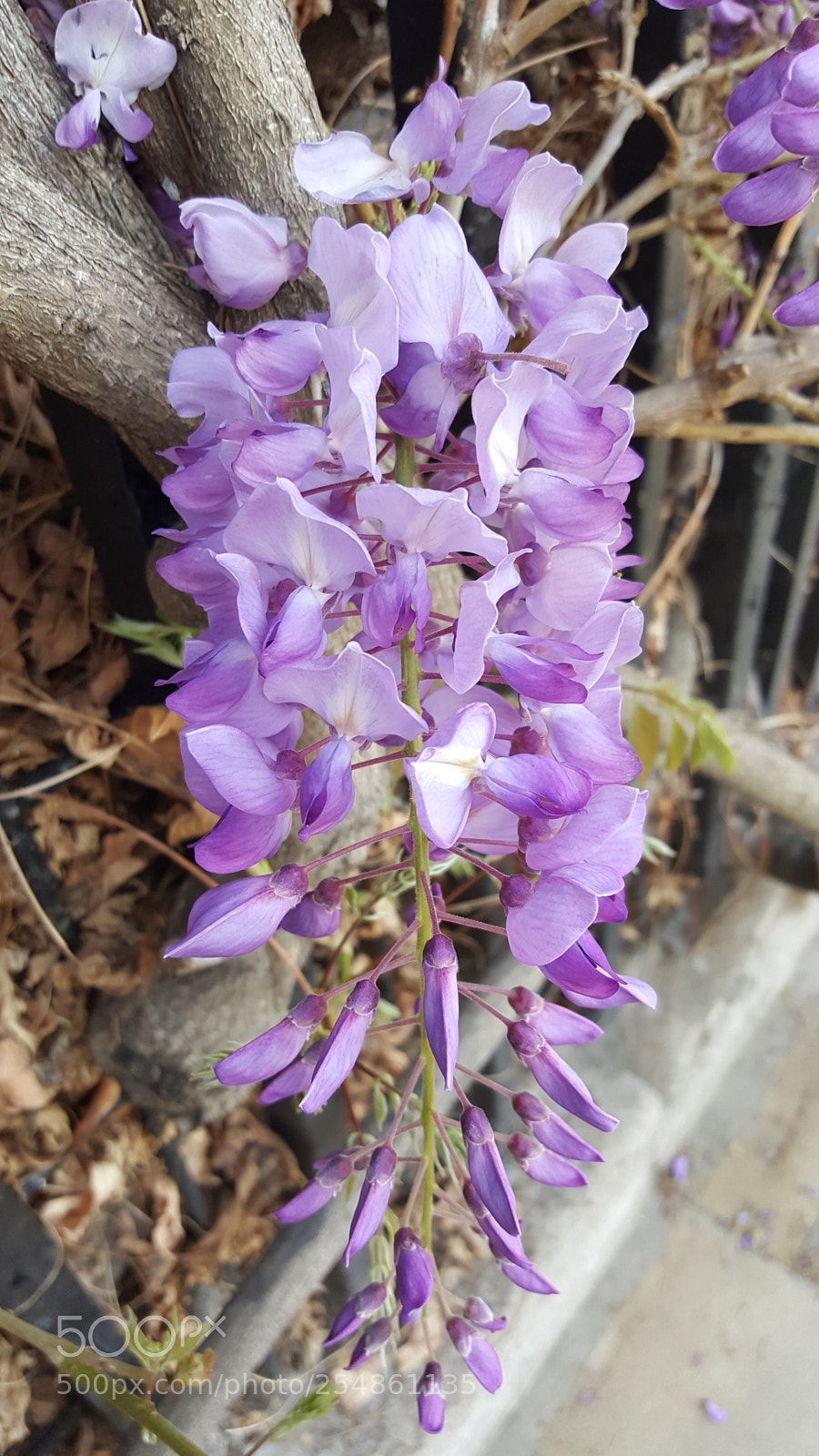Samsung Galaxy S6 sample photo. 20180423_083417.jpg photography