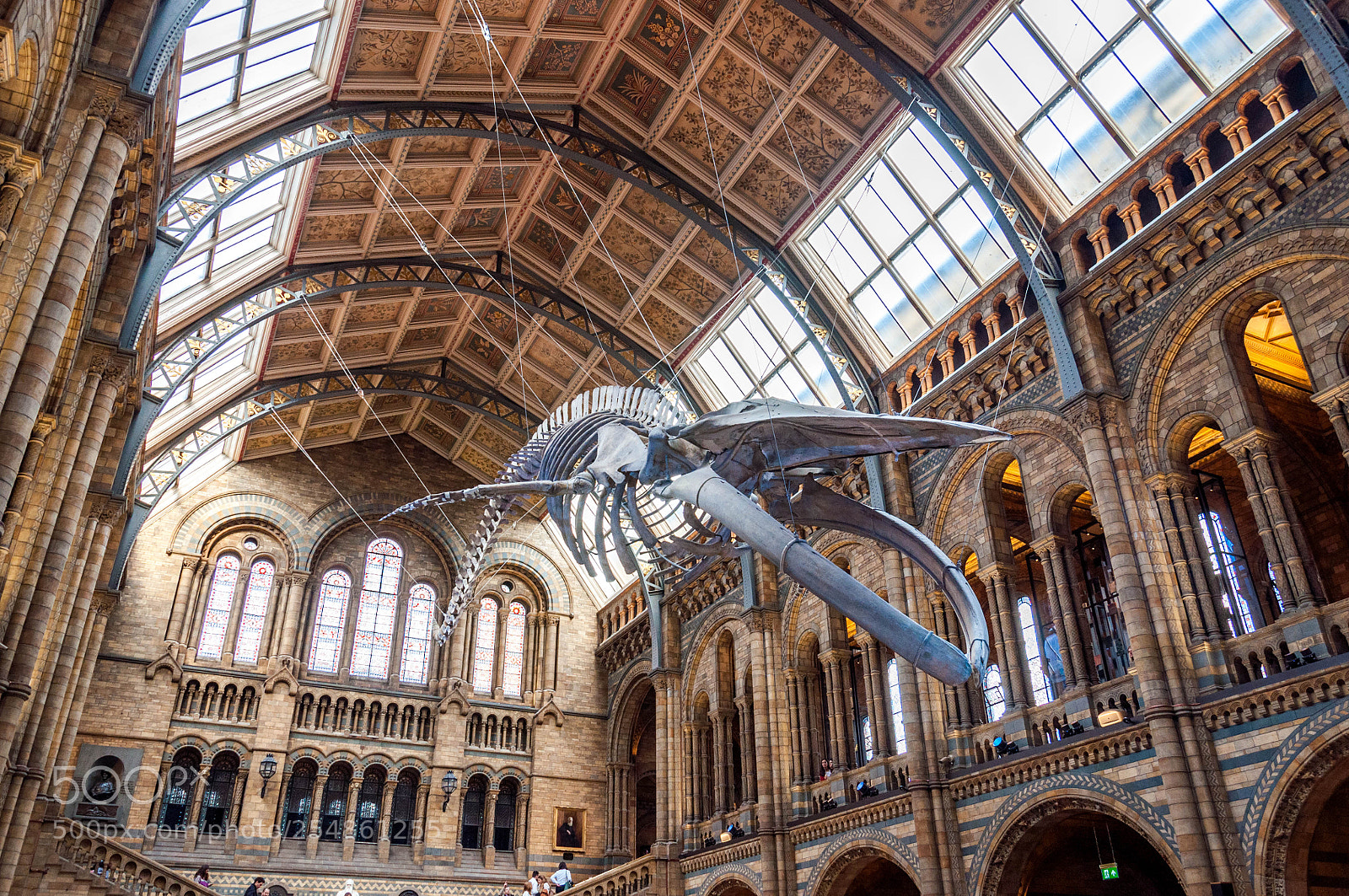 Nikon D90 sample photo. Natural history museum, london photography