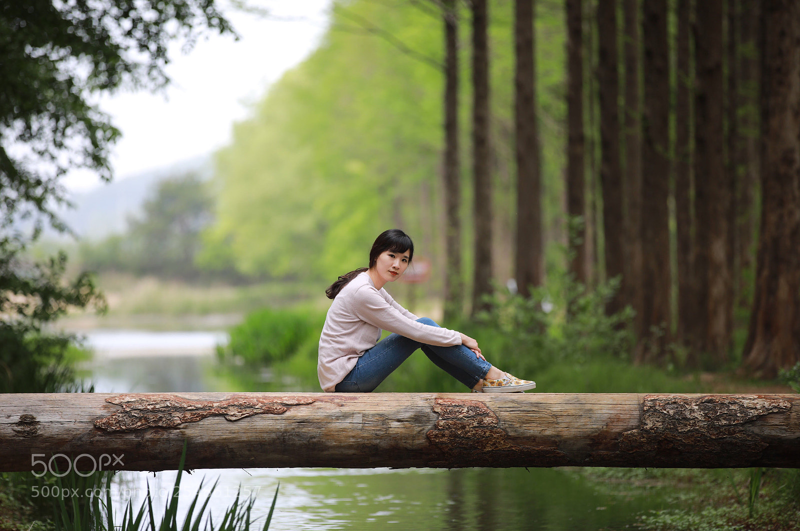 Canon EOS 5D Mark IV sample photo. Gyeongju forest research institute photography