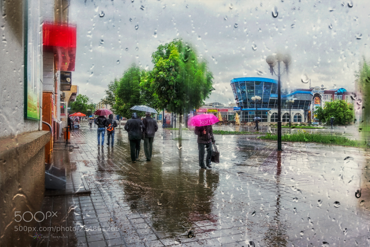 Sony Cyber-shot DSC-RX100 sample photo. Spring rain photography
