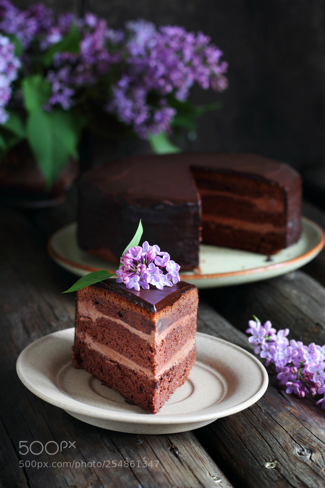 Canon EOS 60D sample photo. Piece of chocolate cake photography