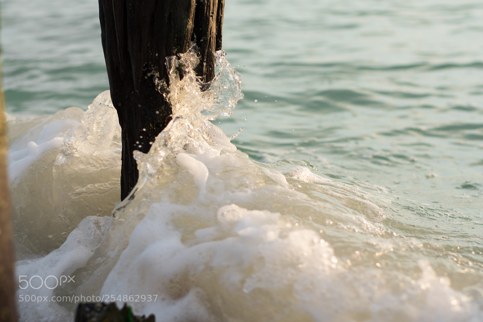 Nikon D5600 sample photo. Old dock photography
