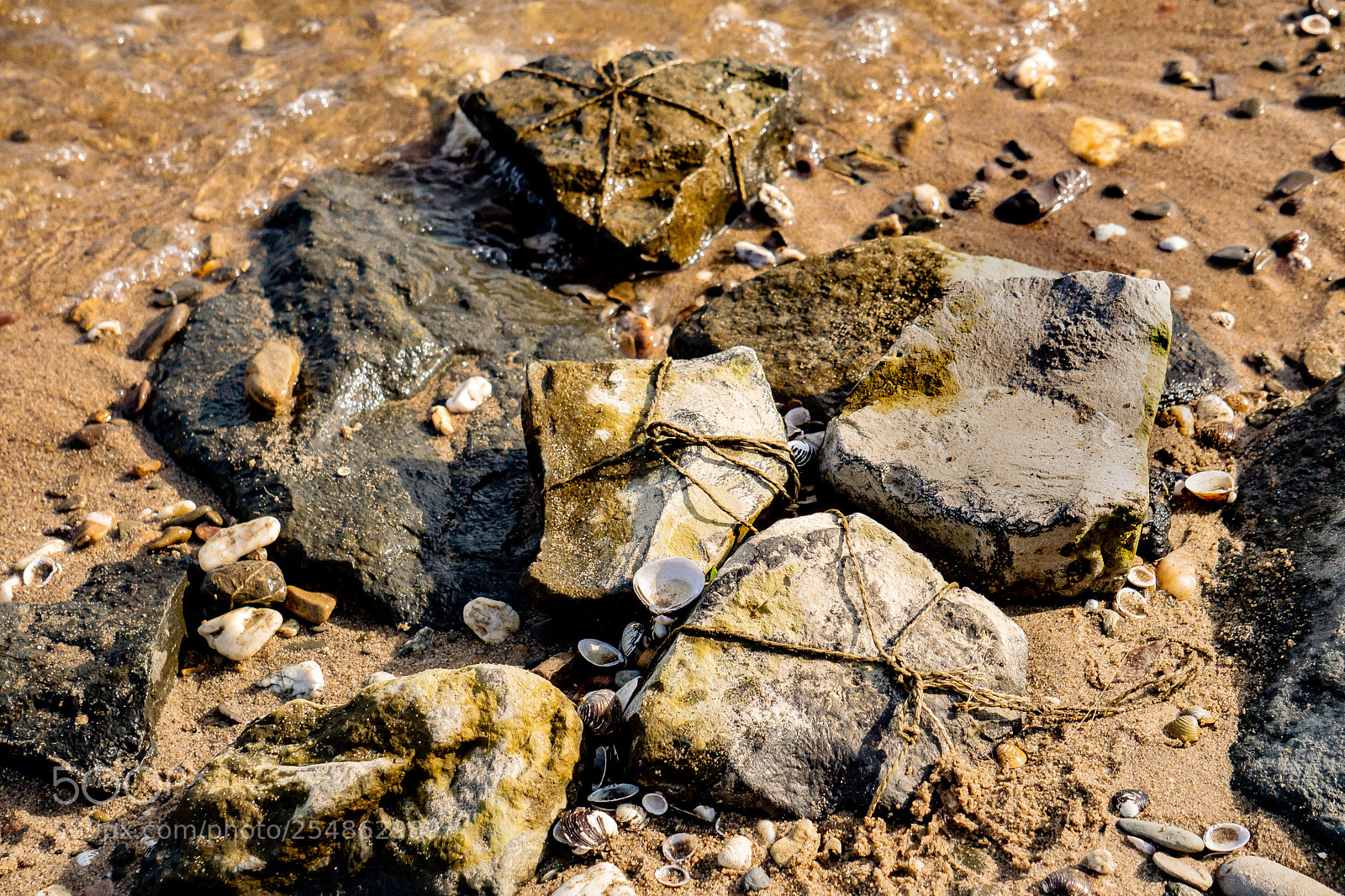 Sony a6000 sample photo. Untitled photography