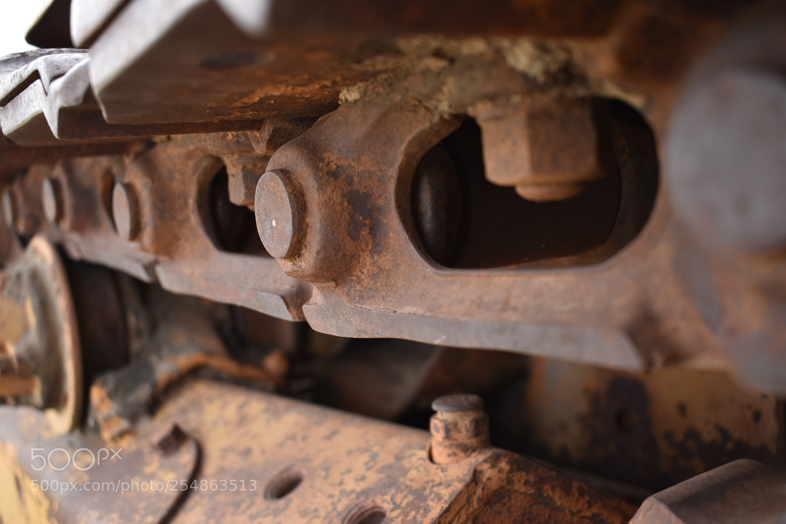 Nikon D5600 sample photo. Abstract macro photography